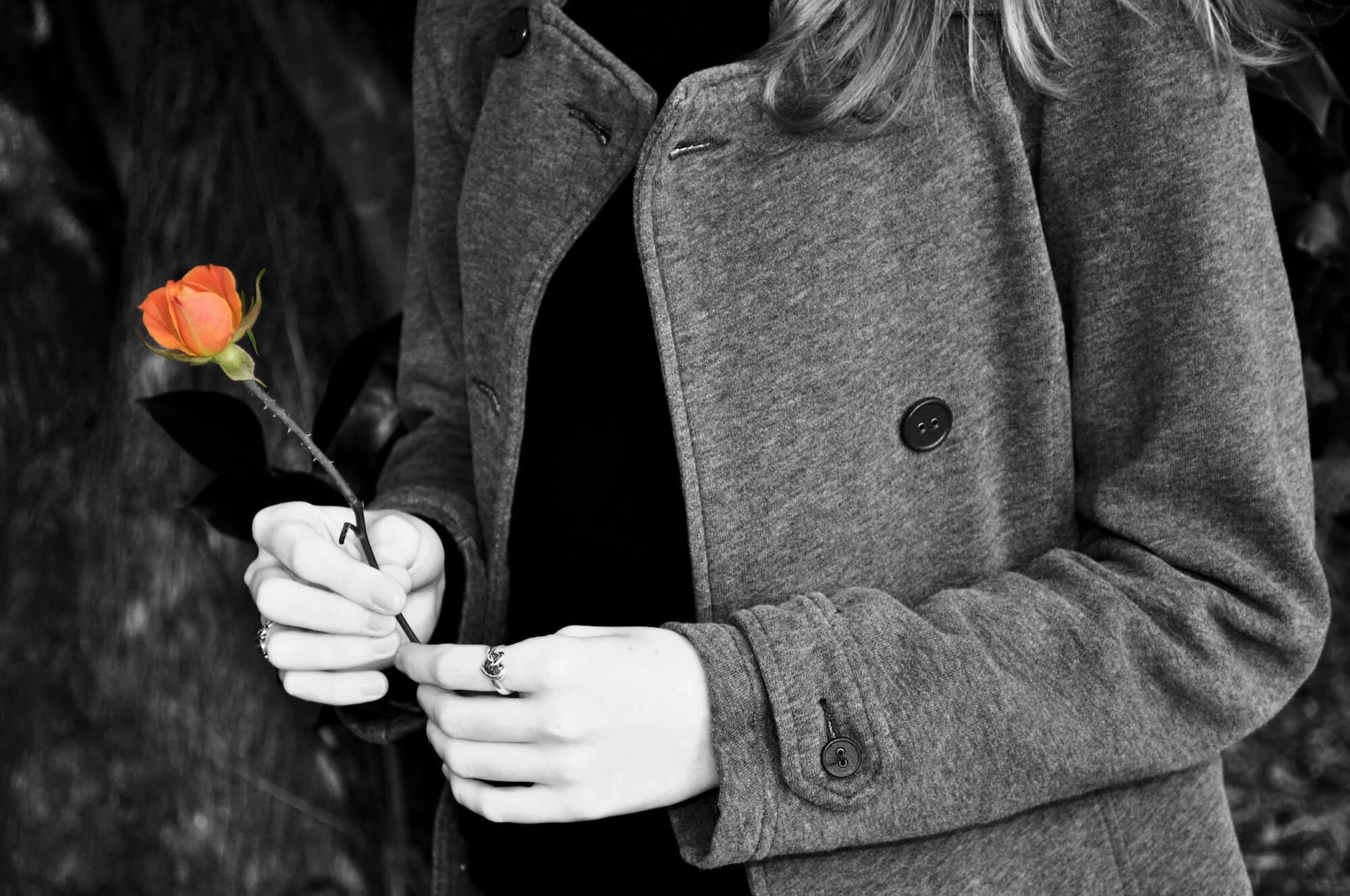 Senior Year - 608.jpg