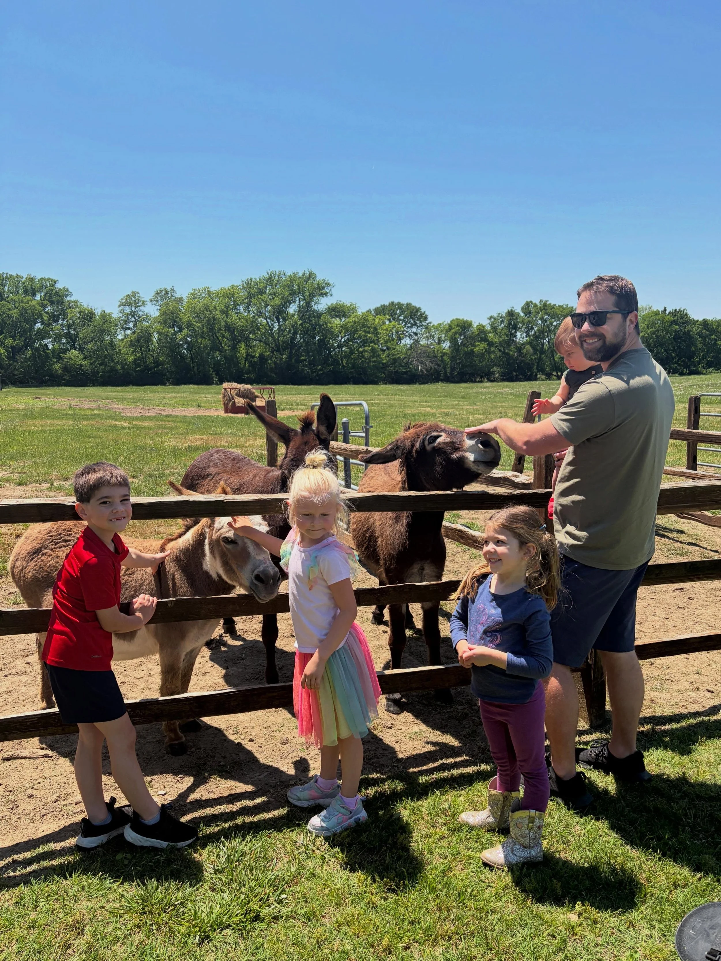 an early may afternoon with wine, friends, and farm animals&mdash;60 degrees and sunny. if only every day was this perfect.