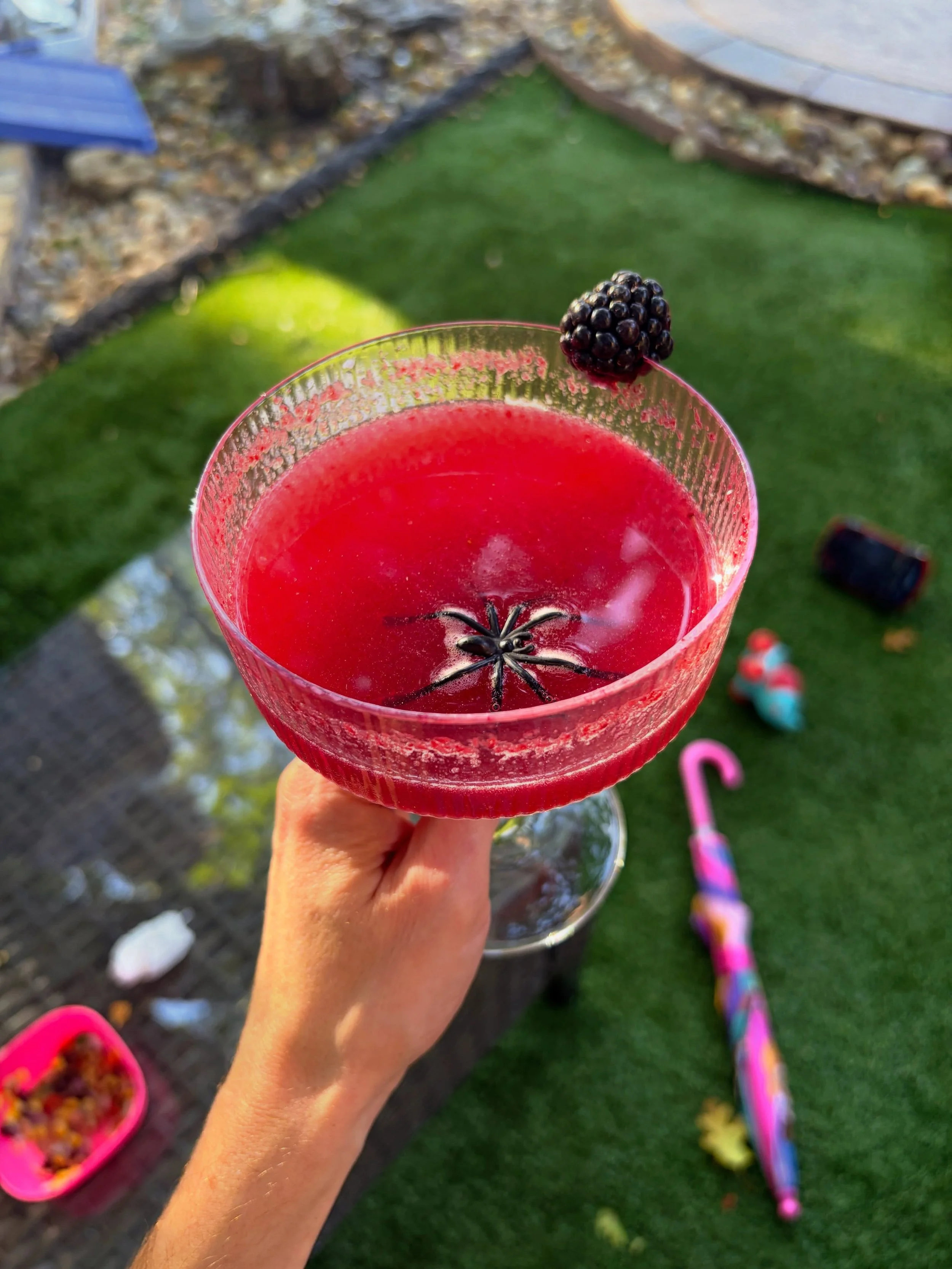 the witch&rsquo;s heart cocktails (made by @katienovitsky) in the most beautiful backyard of all time. &lsquo;tis the season. 🕷️

link to the recipe in my latest blog post!