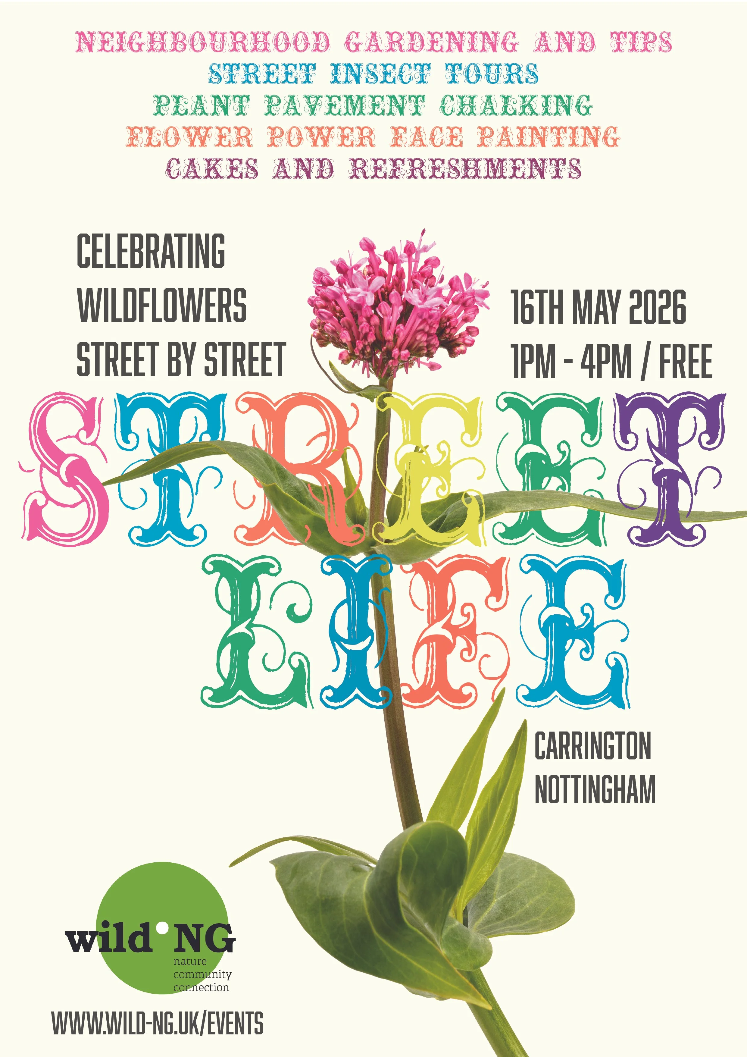 Street Life: celebrating wildflowers street by street