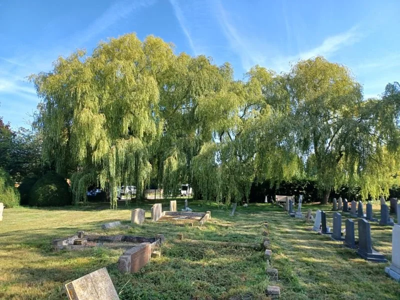 Barnby Churchyard pic 1 - 800.jpg