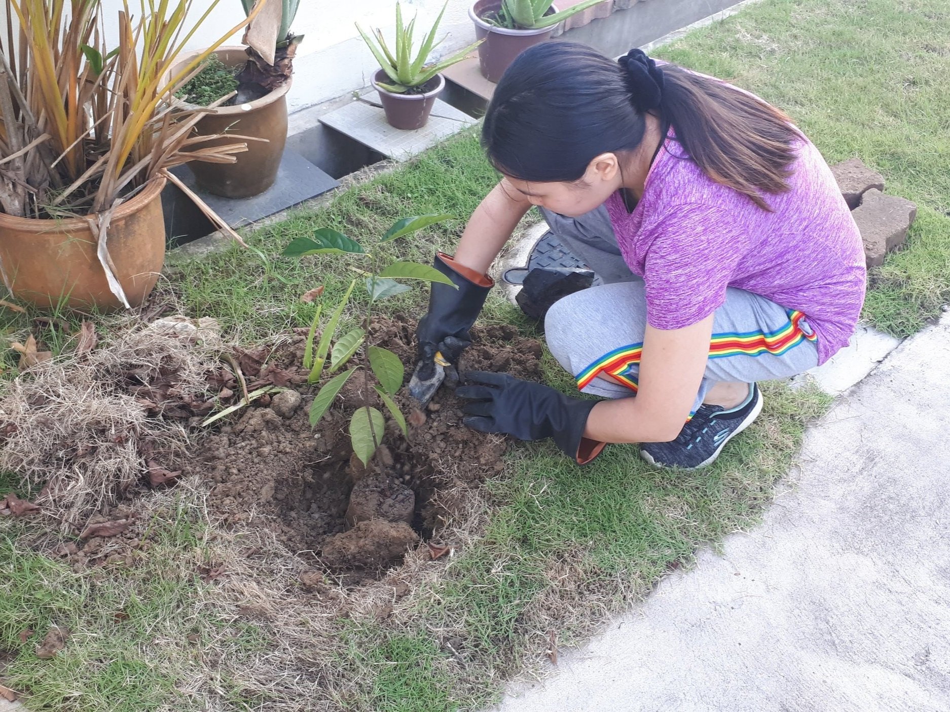 Tree+Planting.jpg