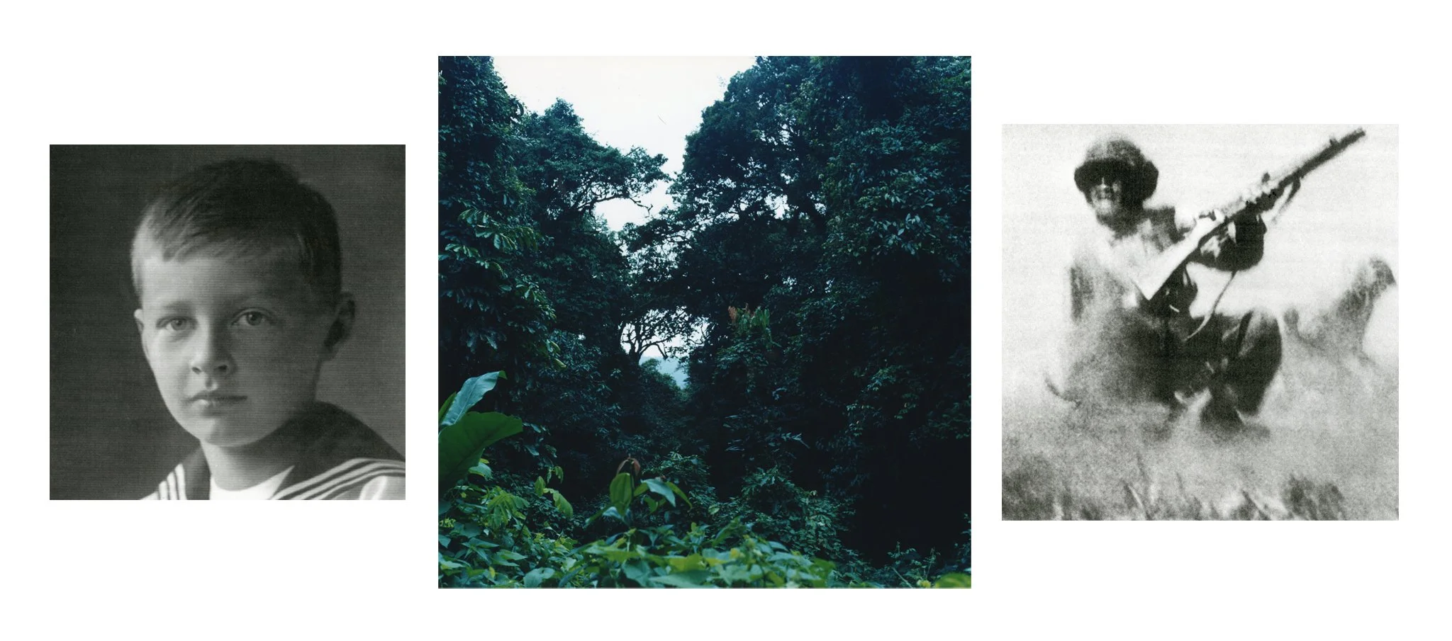 Dulce Et Decorum Est Pro Patria Mori — Bettina WitteVeen