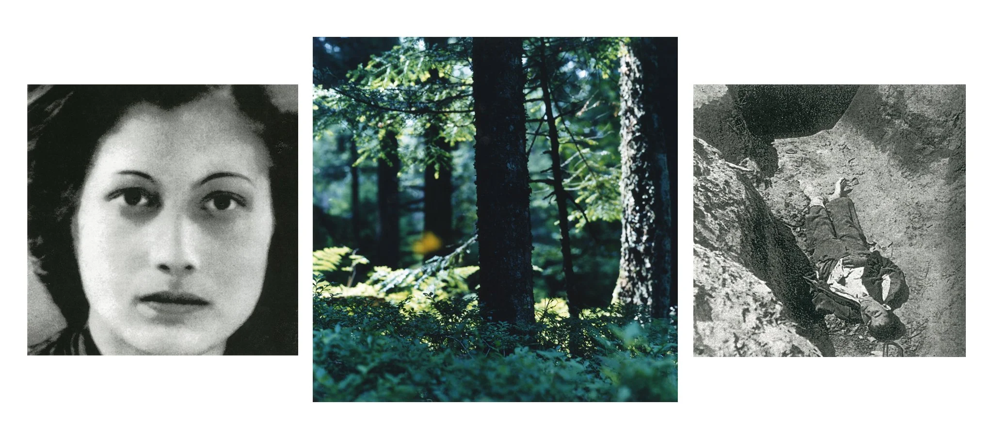 Dulce Et Decorum Est Pro Patria Mori — Bettina WitteVeen