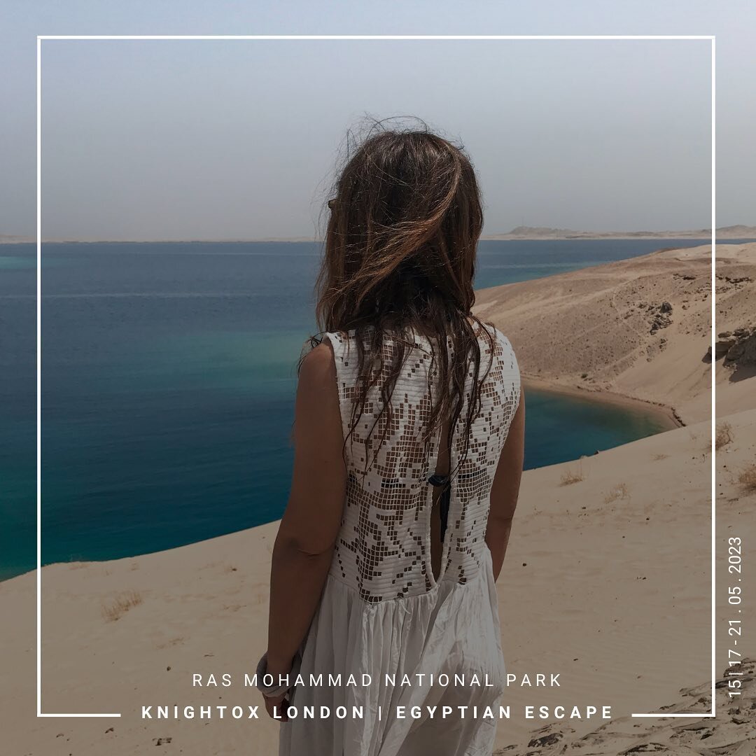 WHERE DESERT MEETS SEA 🌊 

Day 4 of the Egyptian Escape has us feeling like true adventurers, taking  over a pirate ship and setting sail to the stunning White Island and Ras Muhammad National Park. 

Breathtaking views and uncovering all the hidden