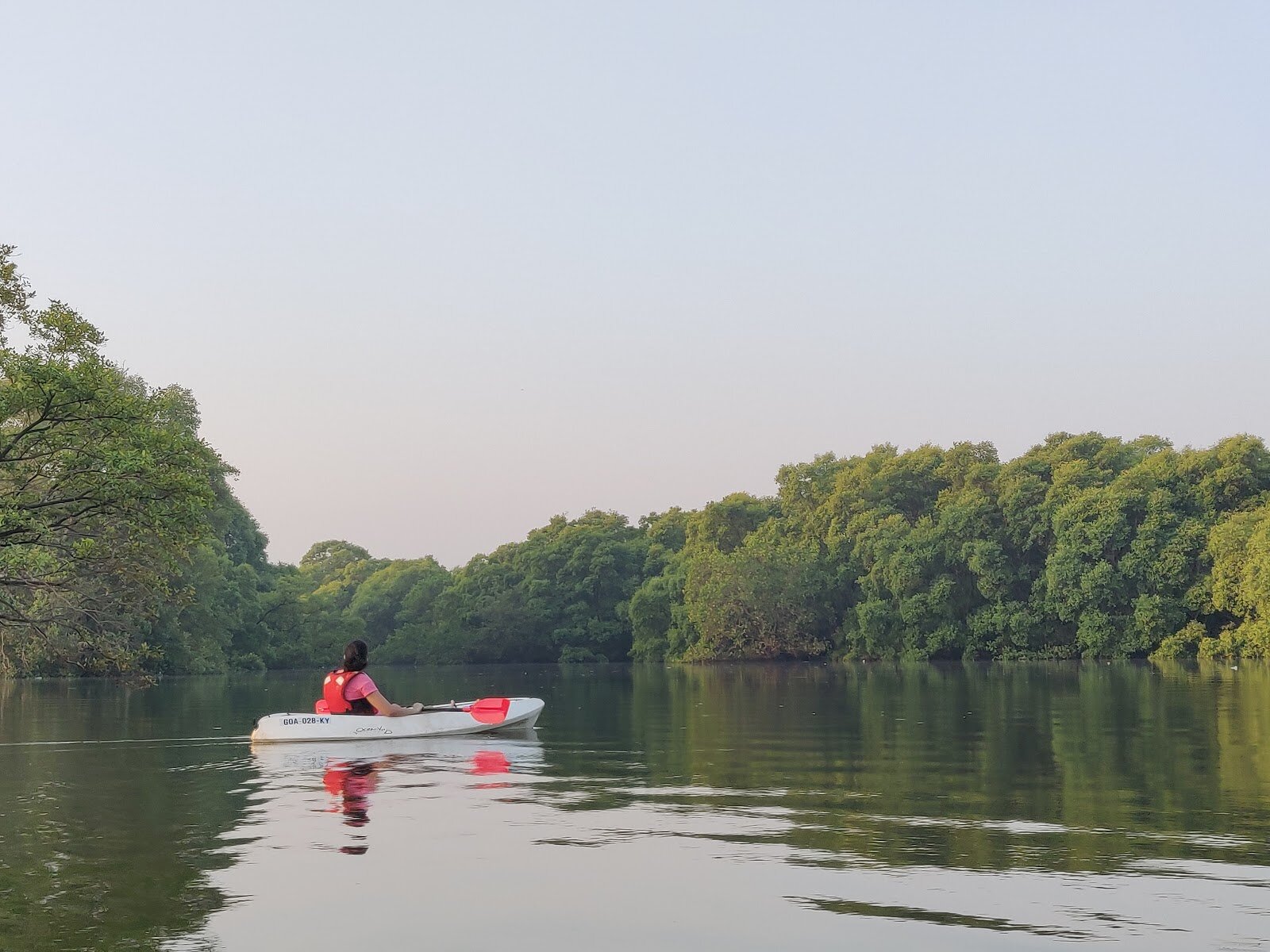 River Kayaking : Enchanted Forest