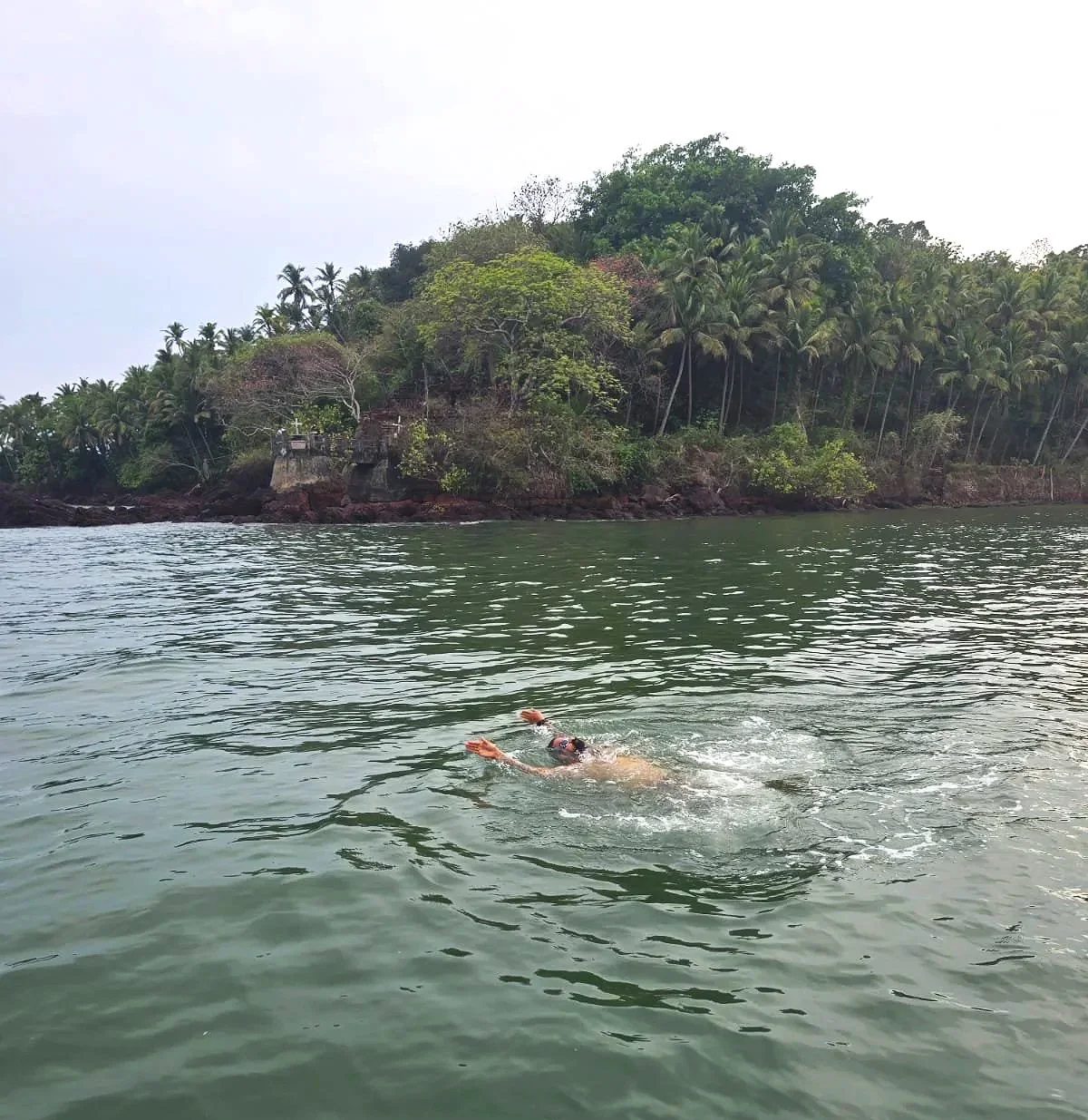 swimming+in+hollant.jpg