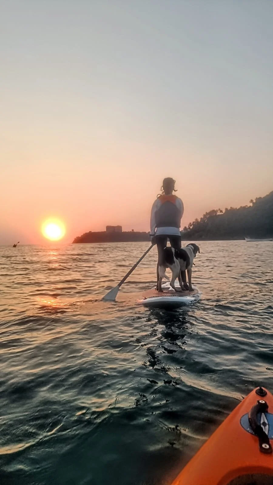 pet friendly kayaking in goa with sahasea 