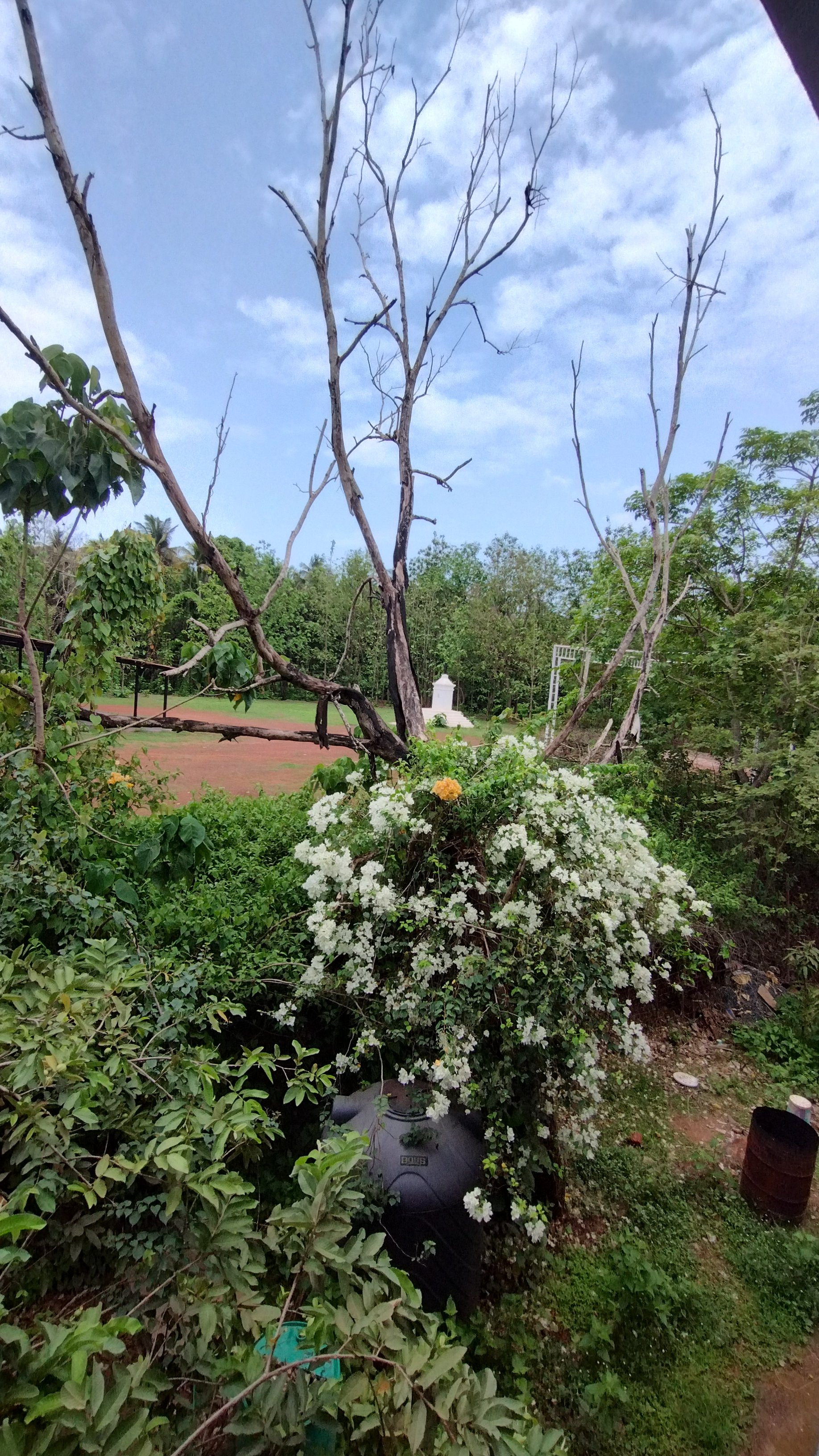 The Oriole - Stay by Sahasea in South Goa