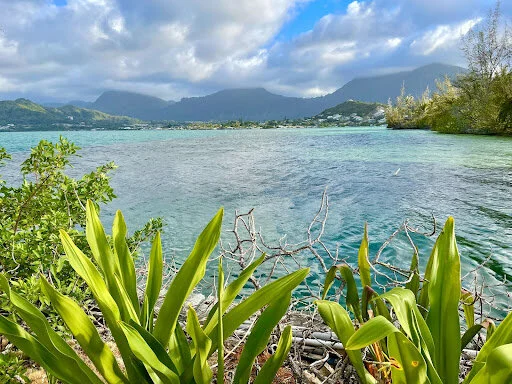 Kāne‘ohe Bay from Coconut Island. Image by Lauren Neville.