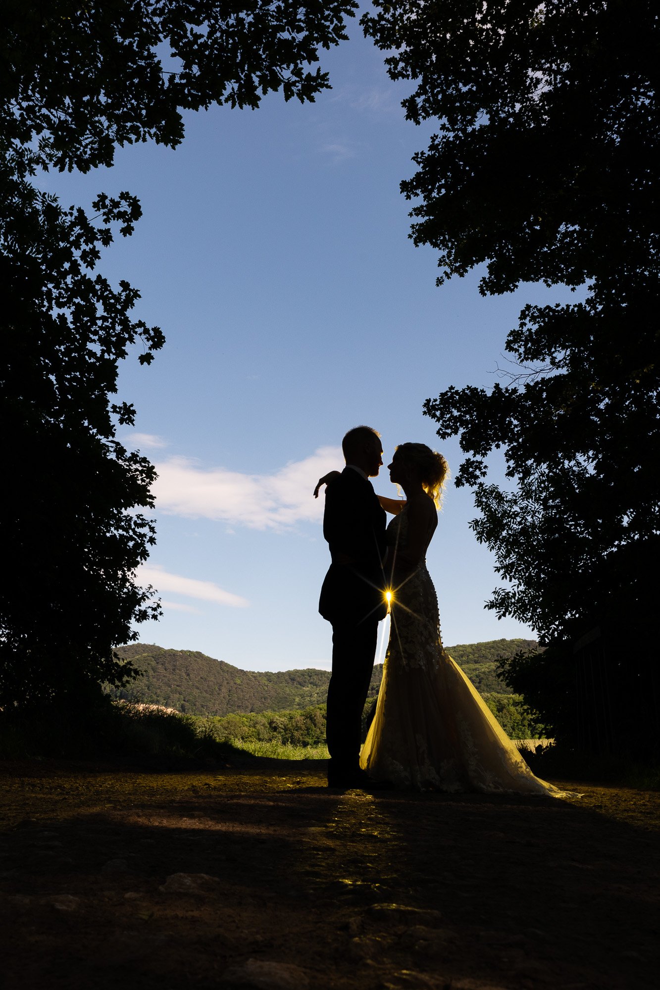 Silhouette photo of bridal couple in a clearing in the forest