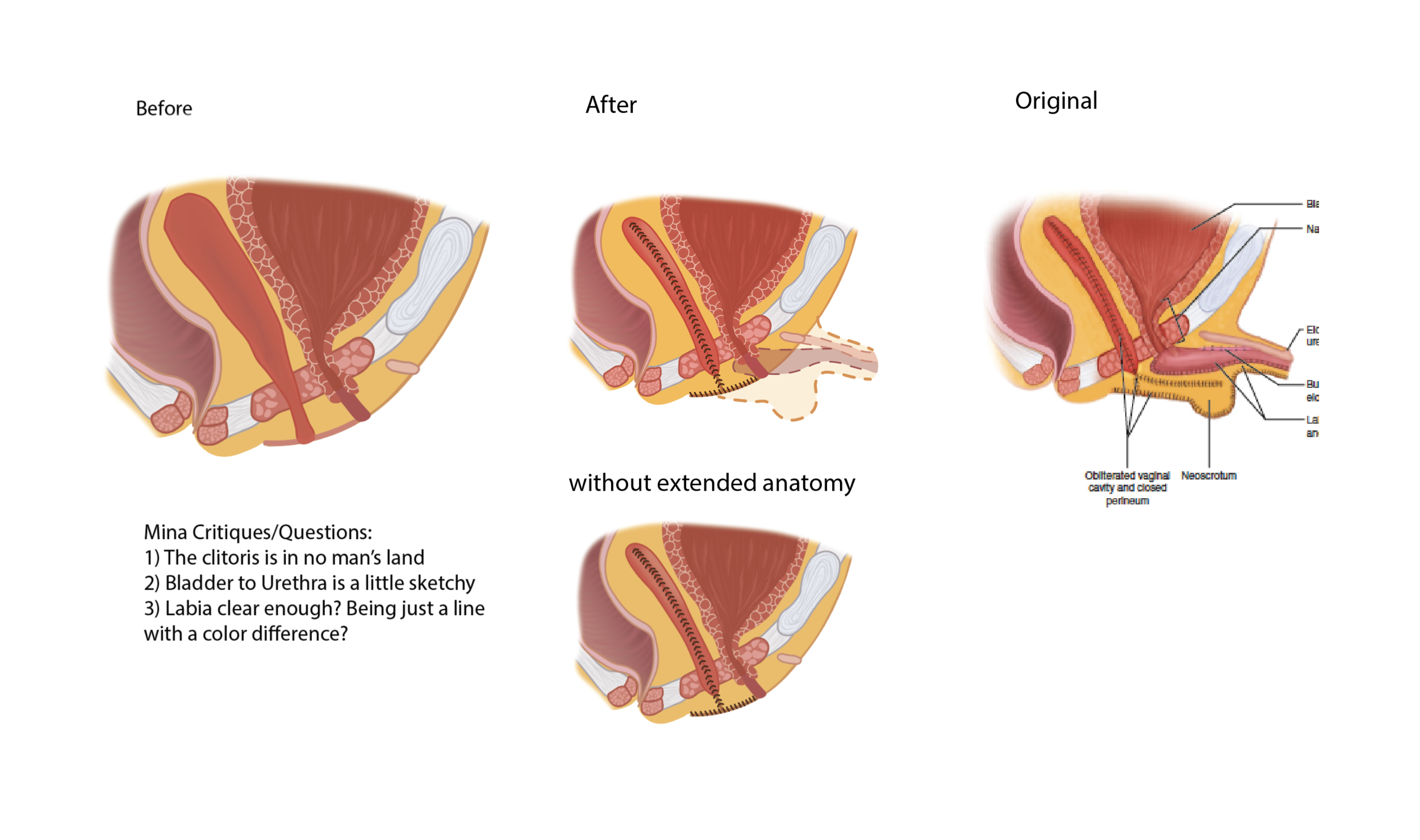 Screen Shot 2021-04-07 at 9.45.52 AM.png