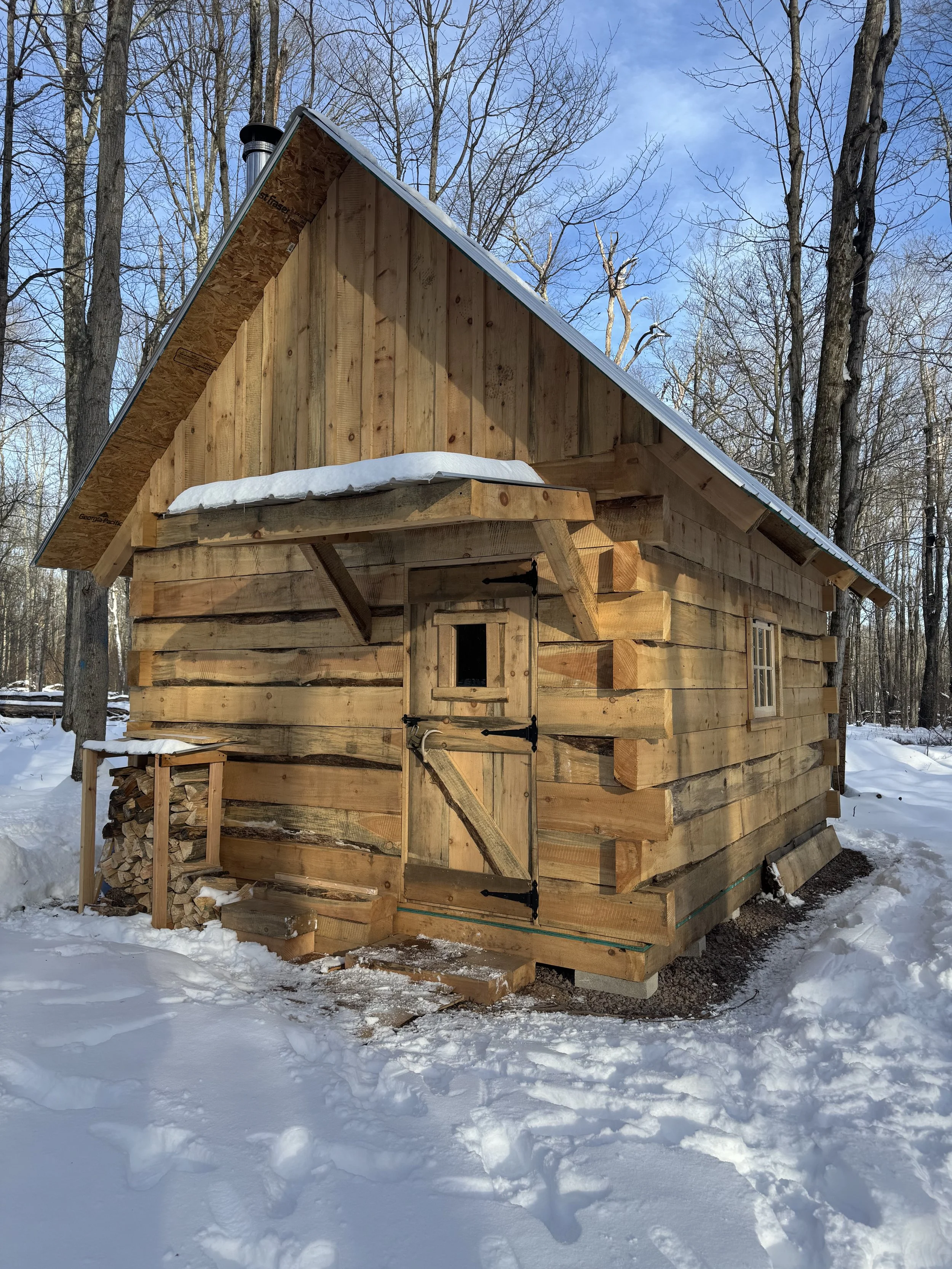 Wooden cabin in snowy forest with a small window, metal roof, and a door with black hinges.