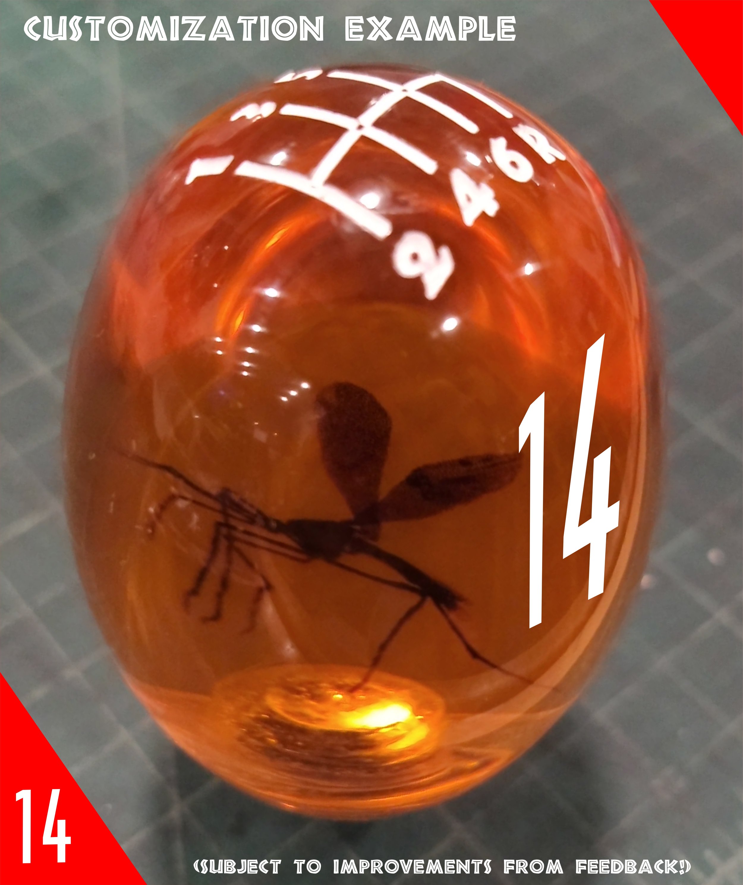 Shifter Customization.jpg