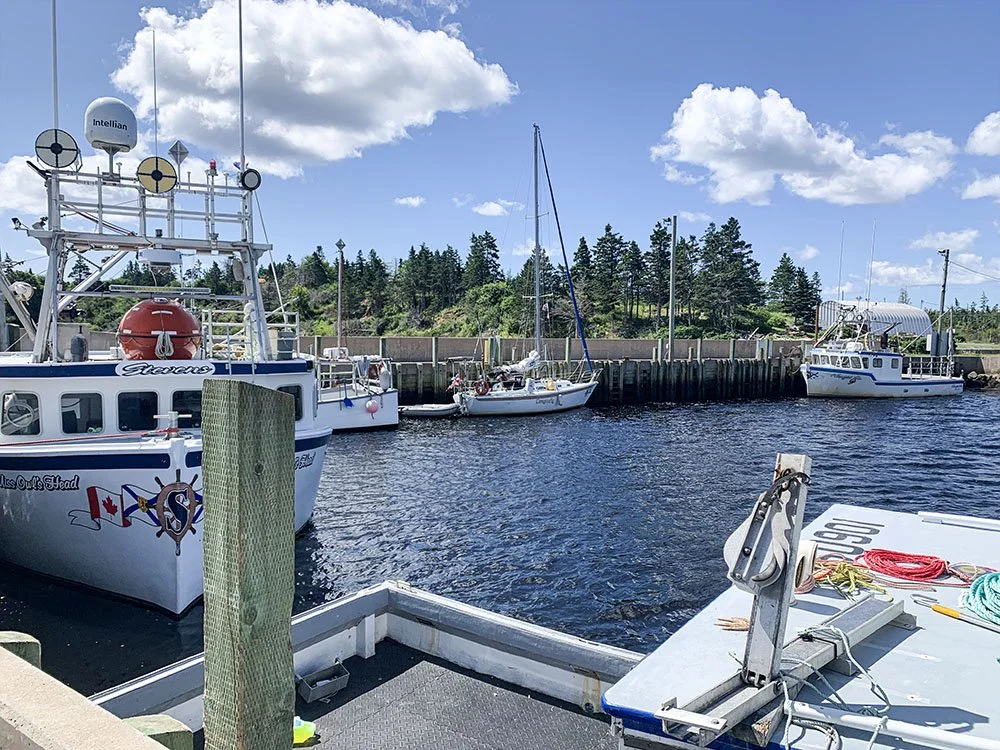 dock 1.jpg