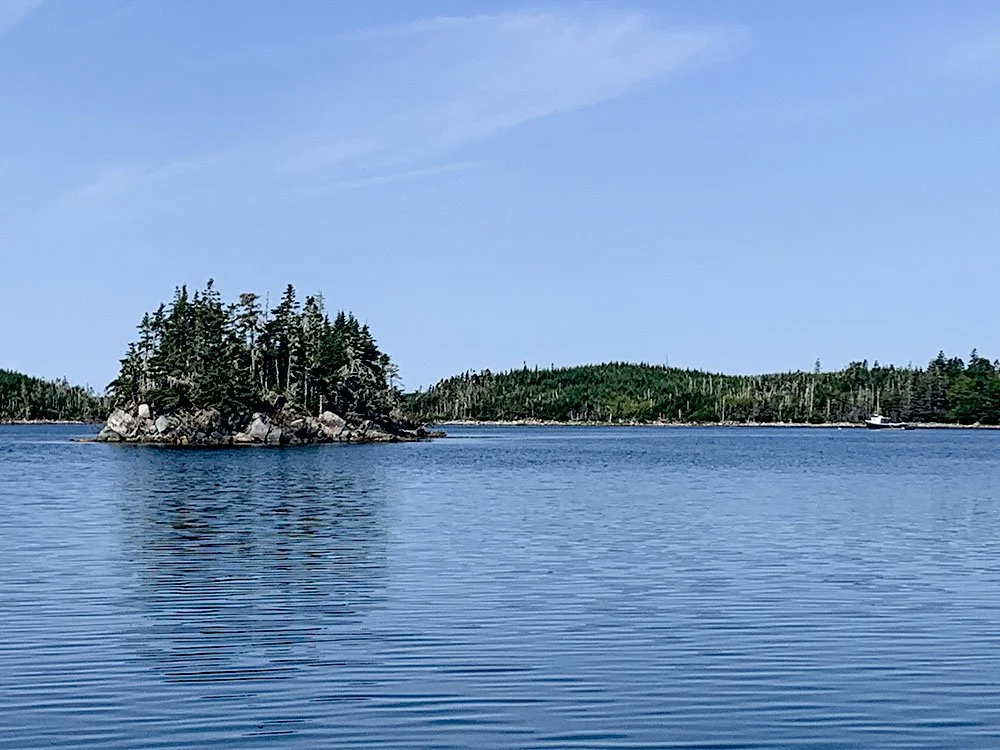 Island.jpg