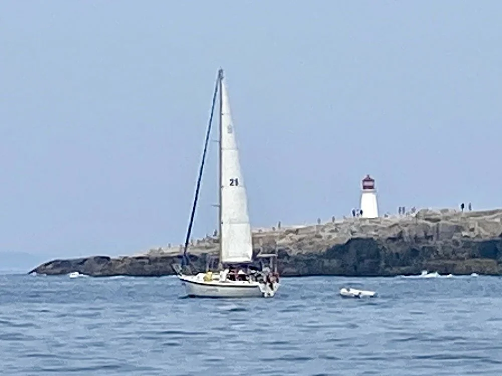 summer cruise 1.jpg