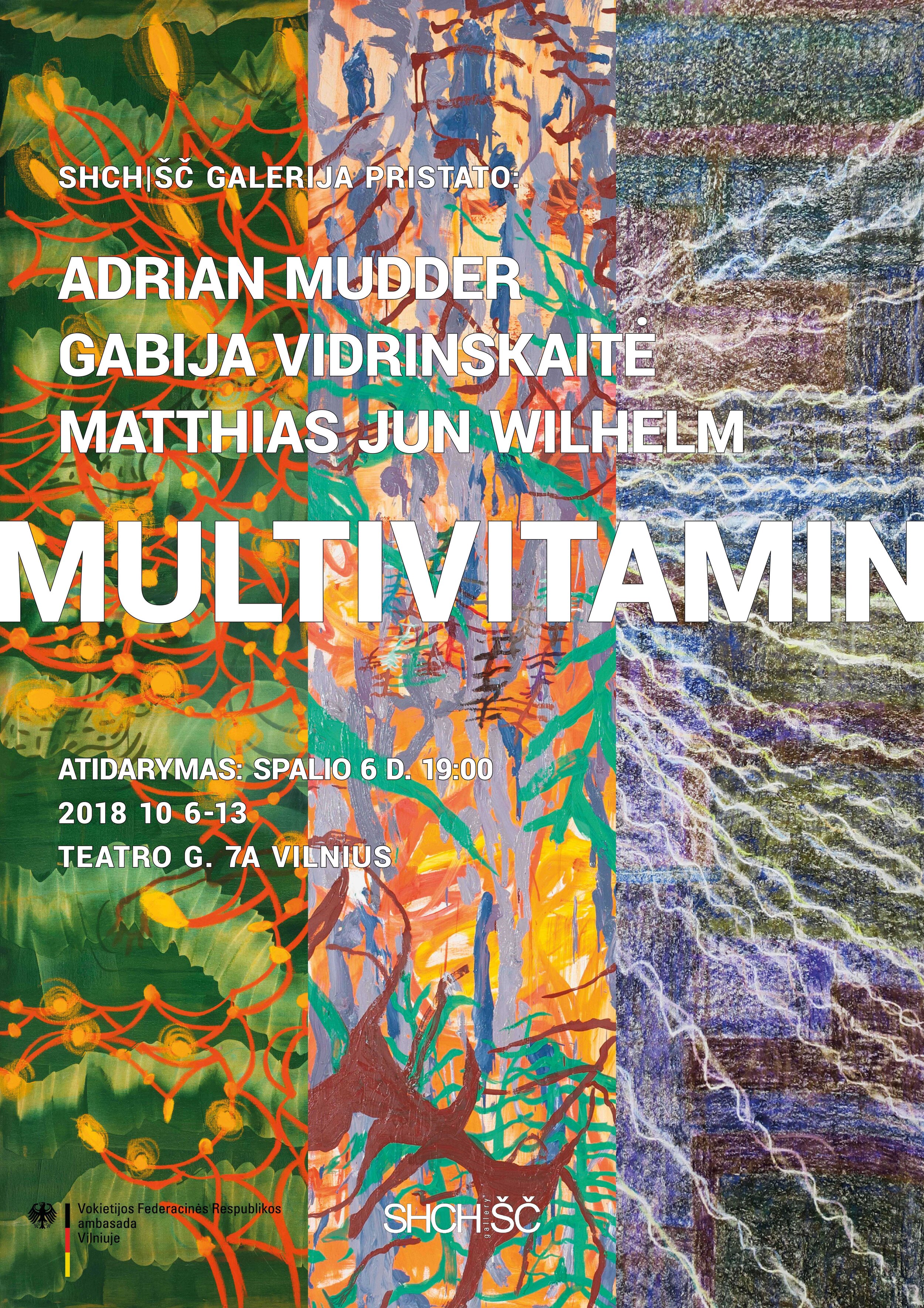  MULTIVITAMIN  SHCH/ŠČ gallery, Vilnius, LT  06.-13.10.2018  Gabija Vidrinskaitė /  Adrian Mudder  /  Matthias Jun Wilhelm    