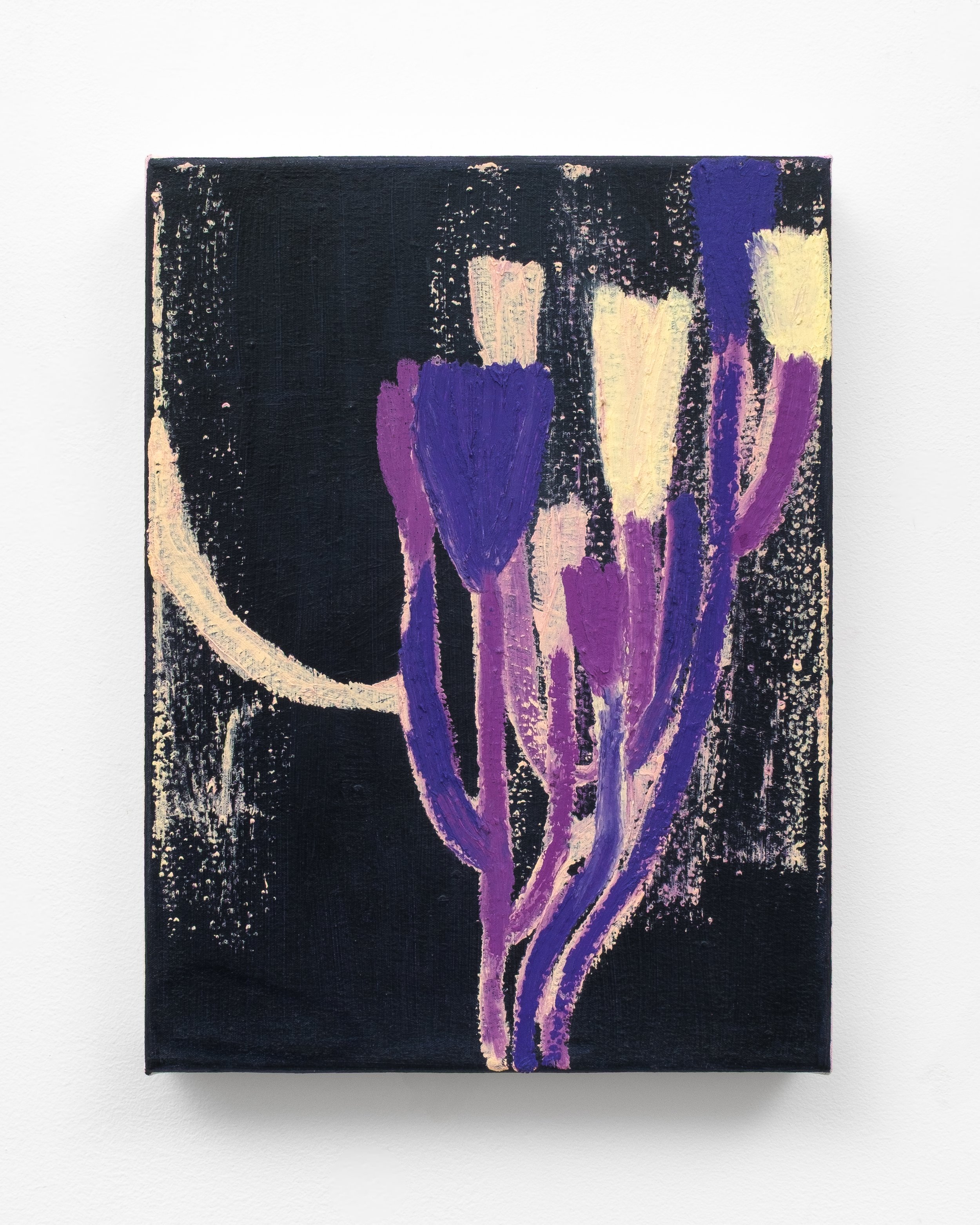Ombro Abundo no. III_oiloncanvas_40x30cm_2025_GV_wall_3.jpg