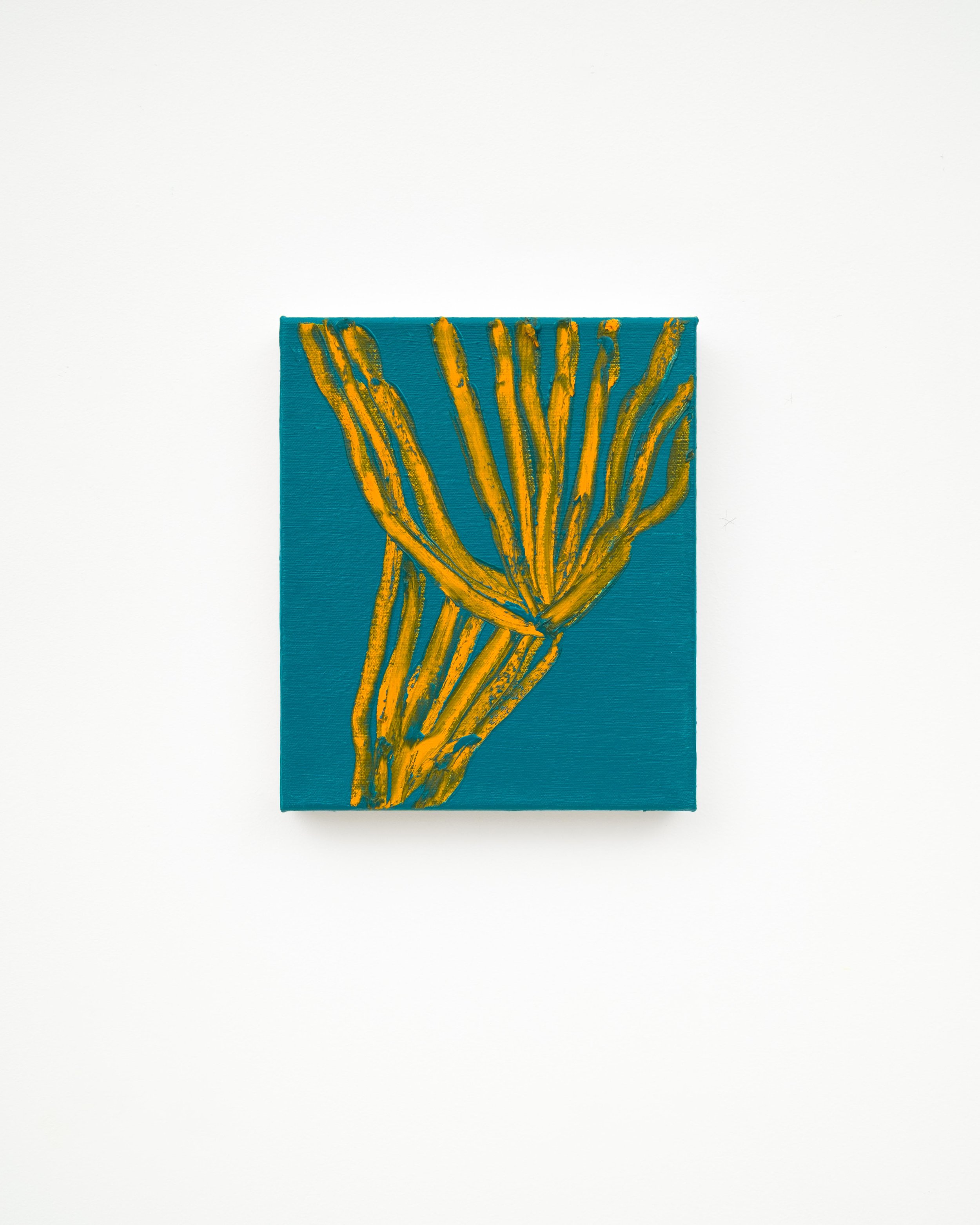 Plantago no. I