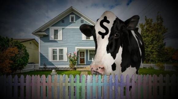 How Cost Segregation Can Turn Your Rental into a Cash Cow