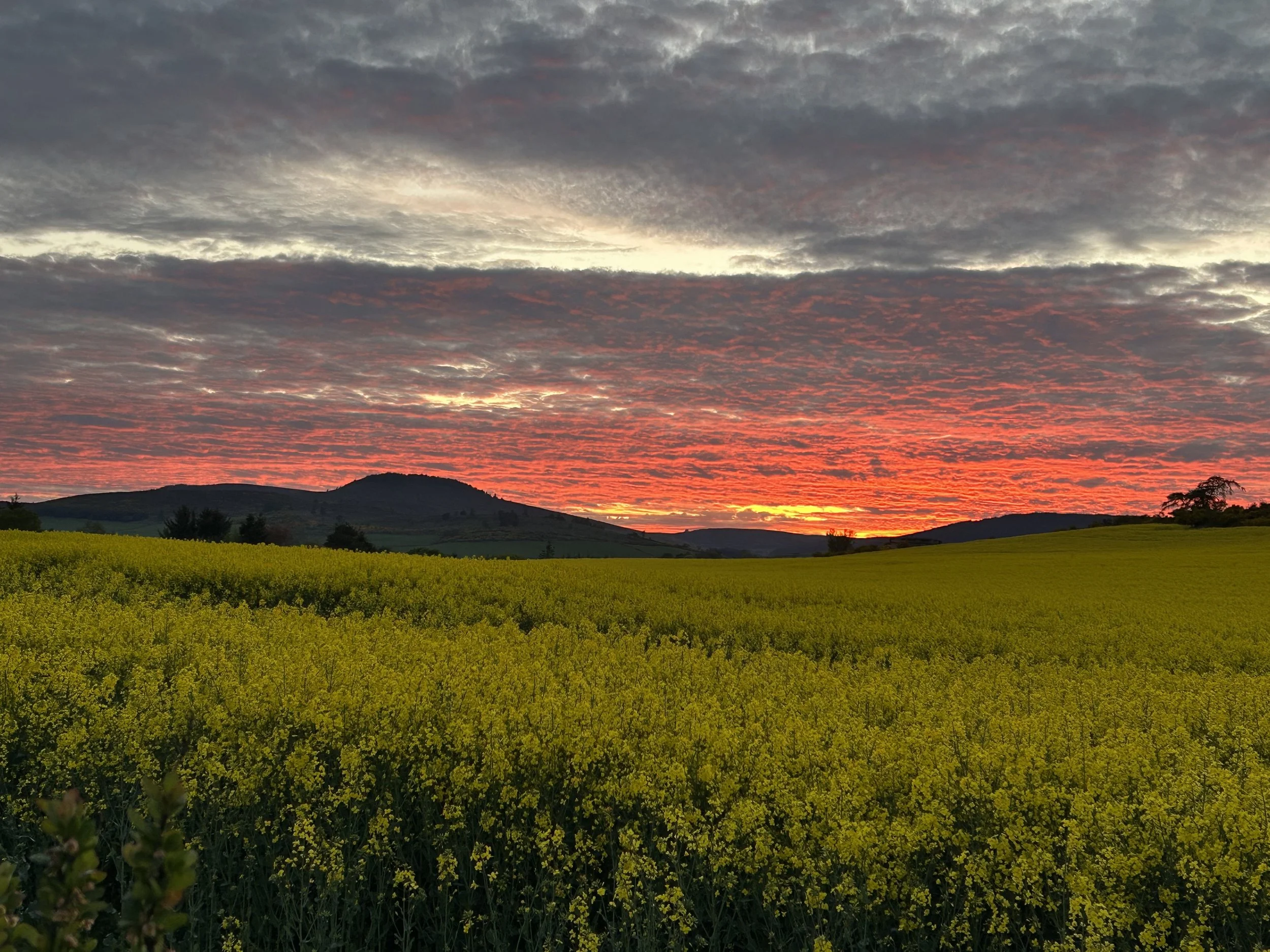Smuain na Maidne - Diardaoin
