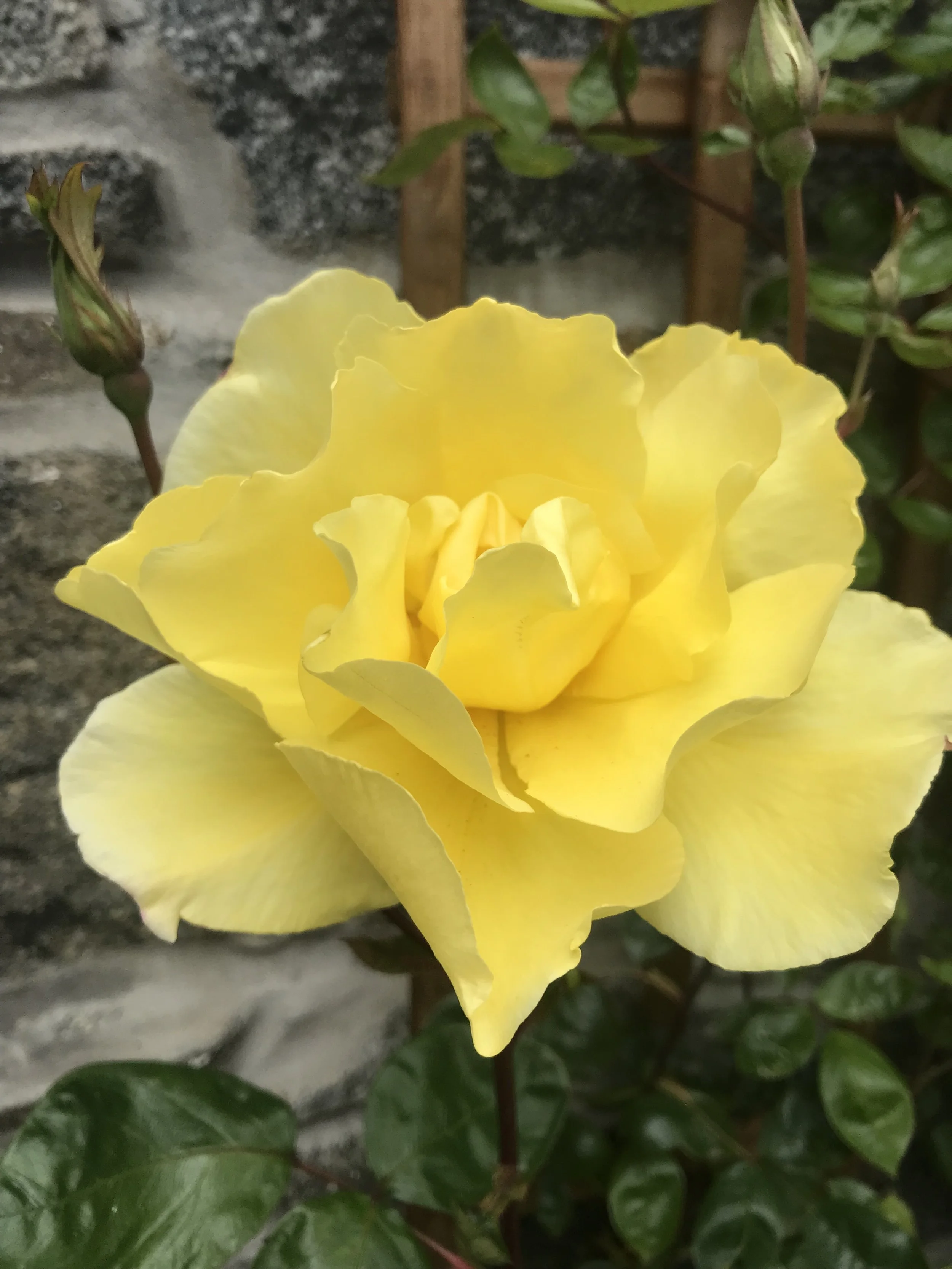 Smuain na Maidne - Dihaoine