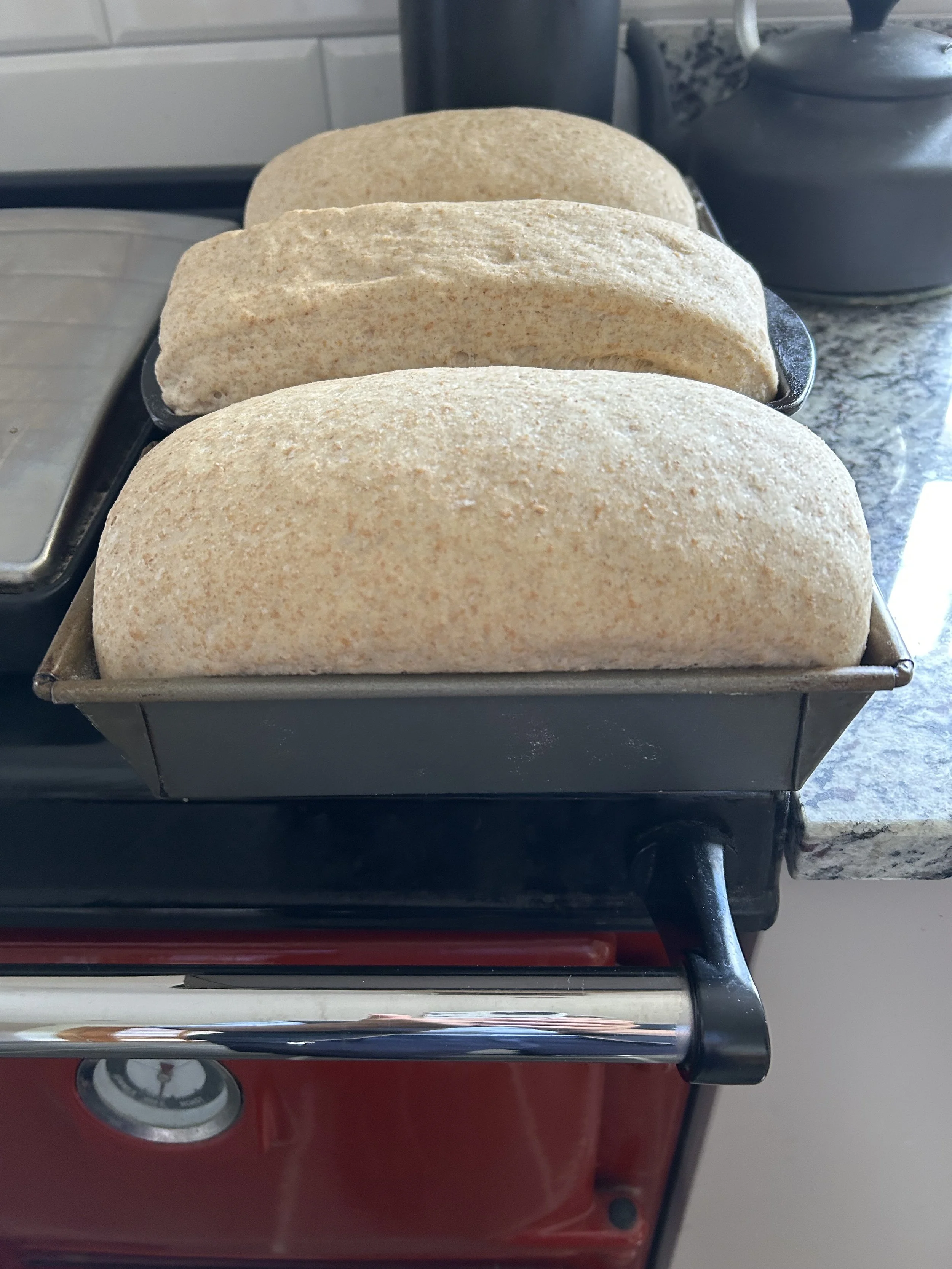 Bread - Wednesday