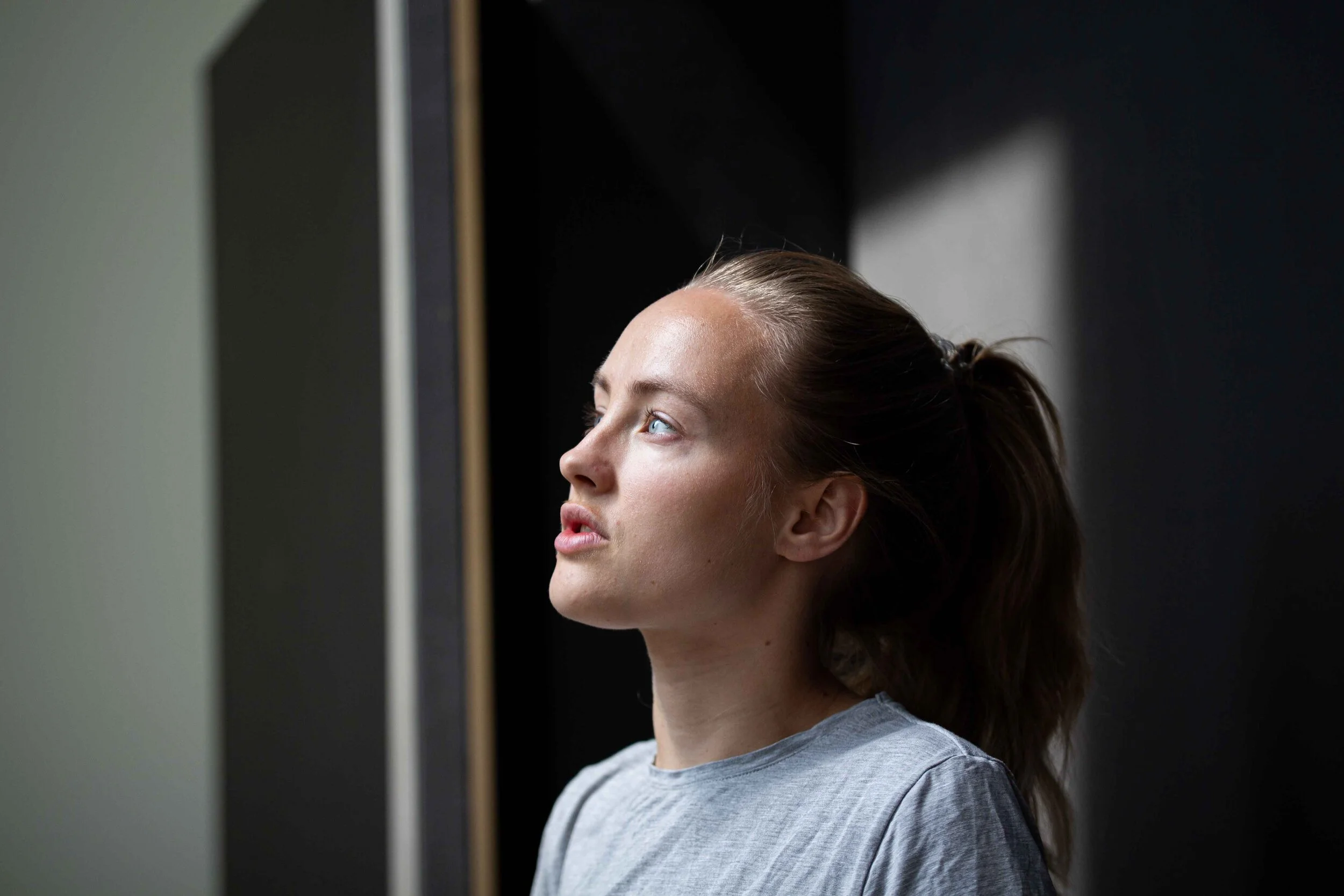 Willmedia - Vipp - Chimney House 1