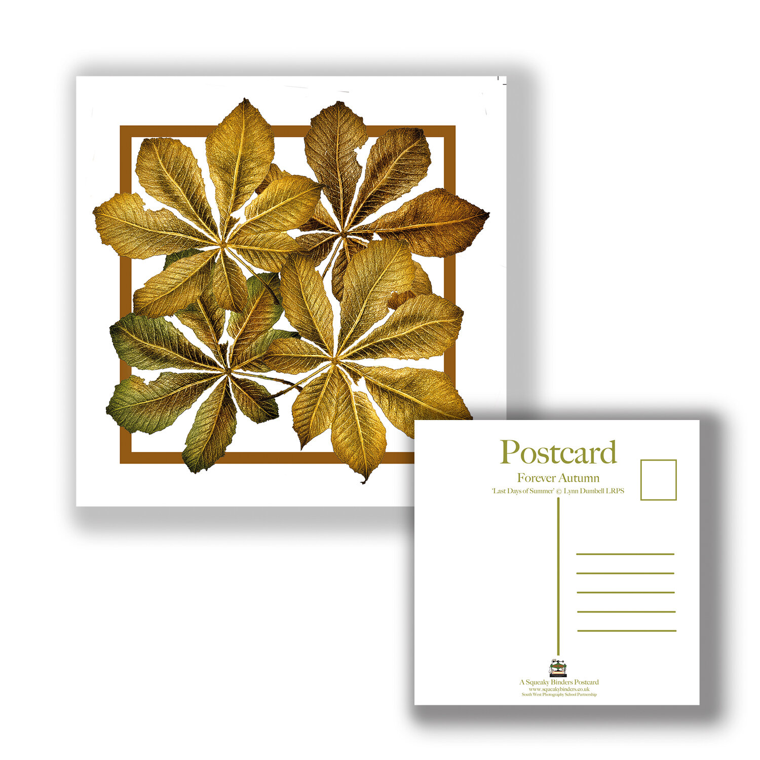 PCSQ_Postcard_FOREVER_AUTUMN_Autumn_Array.jpg