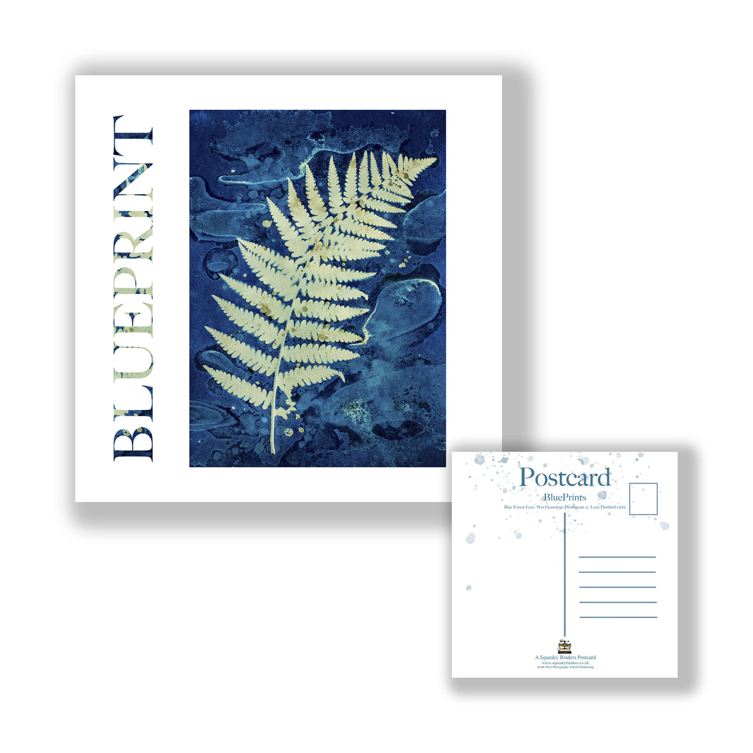 PCSQ_Postcard_BLUEPRINT_Blue_Forest_Fern.jpg