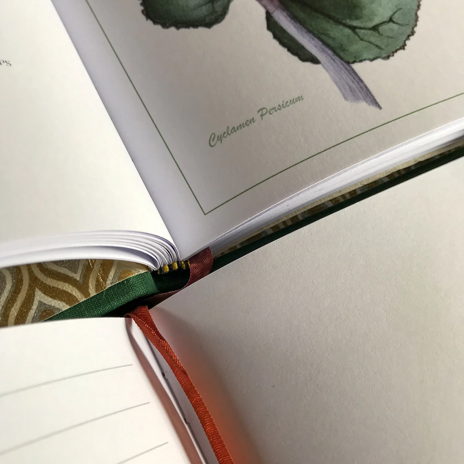 Website_Notebook_Cyclamen_06.jpg