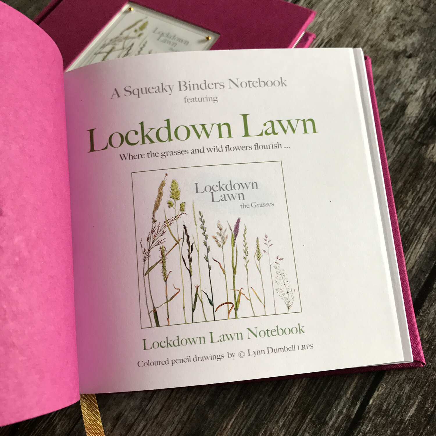 Website_Notebook_Lockdown_Lawn_03.jpg