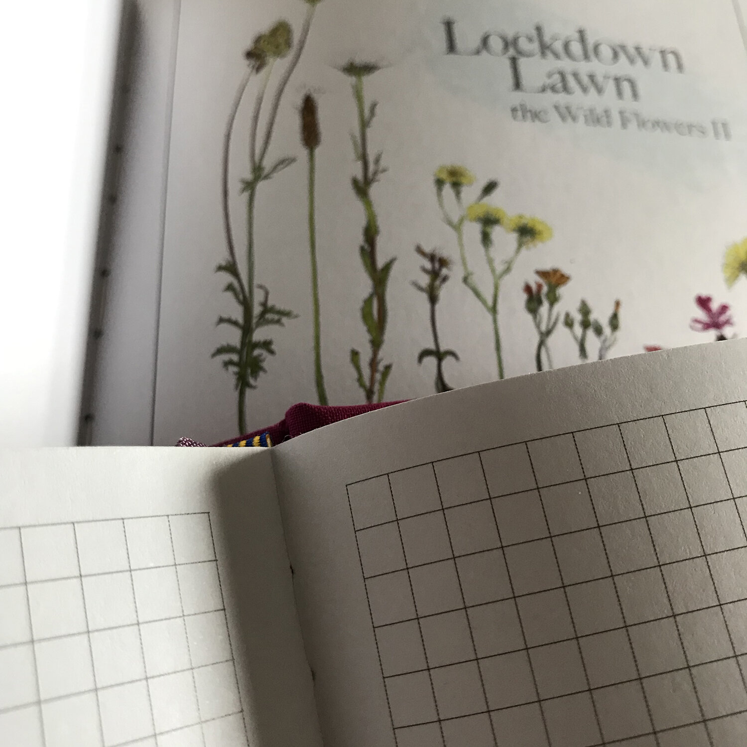 Website_Notebook_Lockdown_Lawn_07.jpg