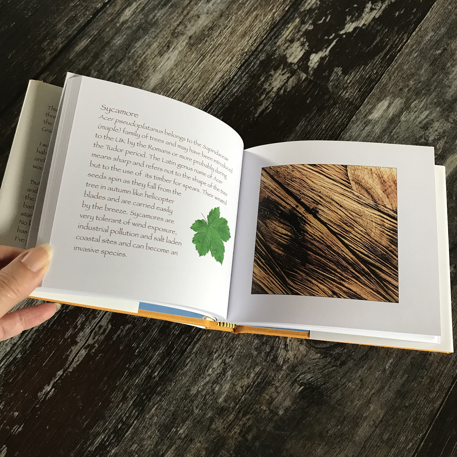 Website_First_Choice_Notebook_Wood_Pile_07.jpg