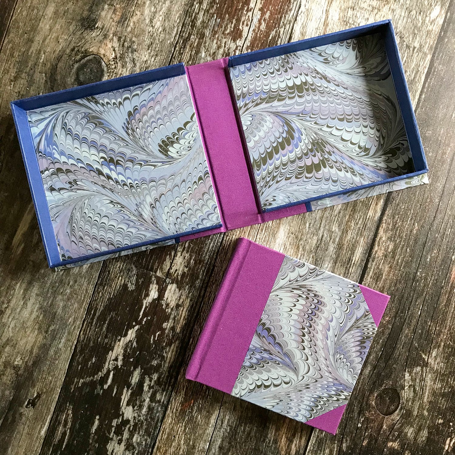 Clamshell_open_with_book_Icarus_lake.jpg