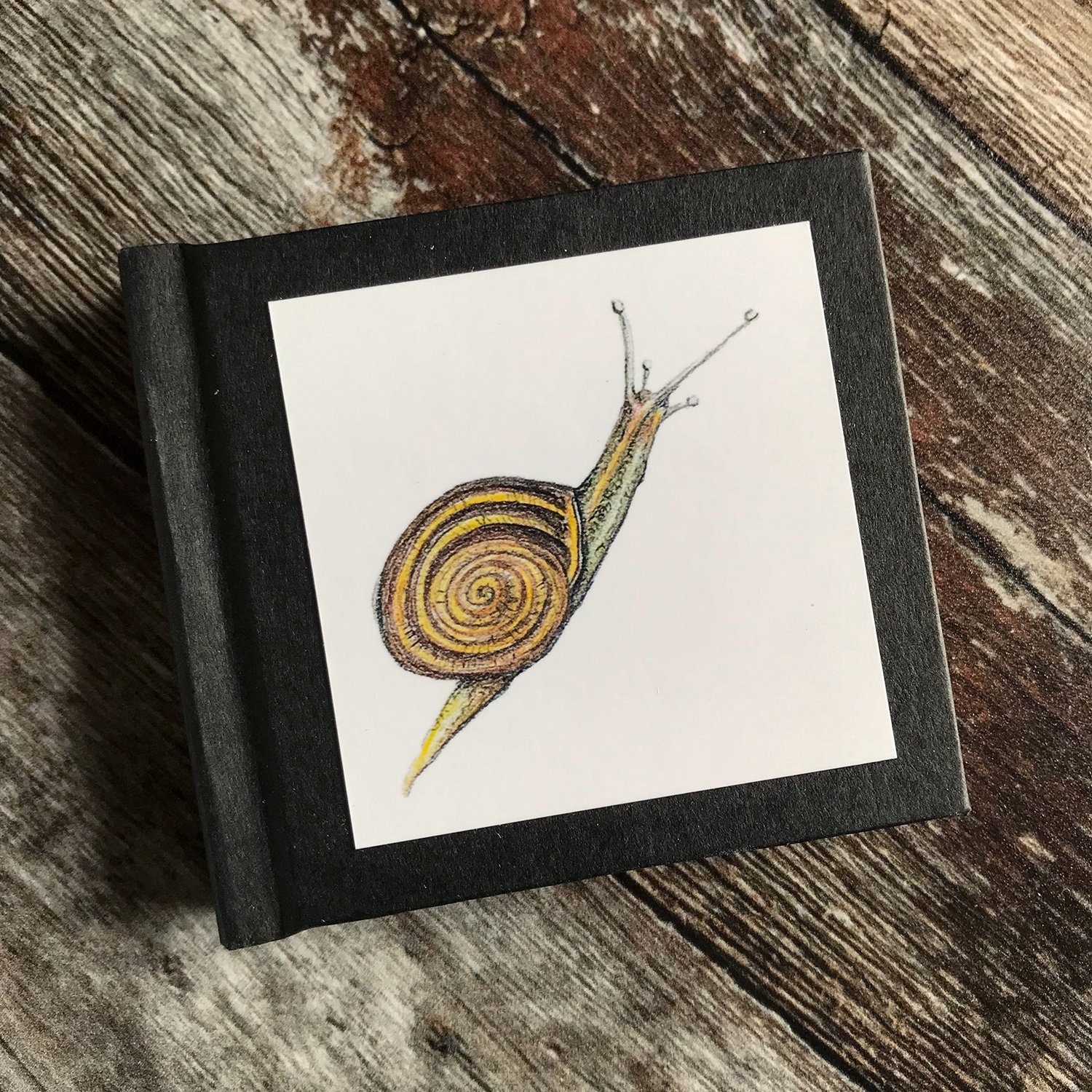 Mini_Journal_Bugs_Snail.jpg
