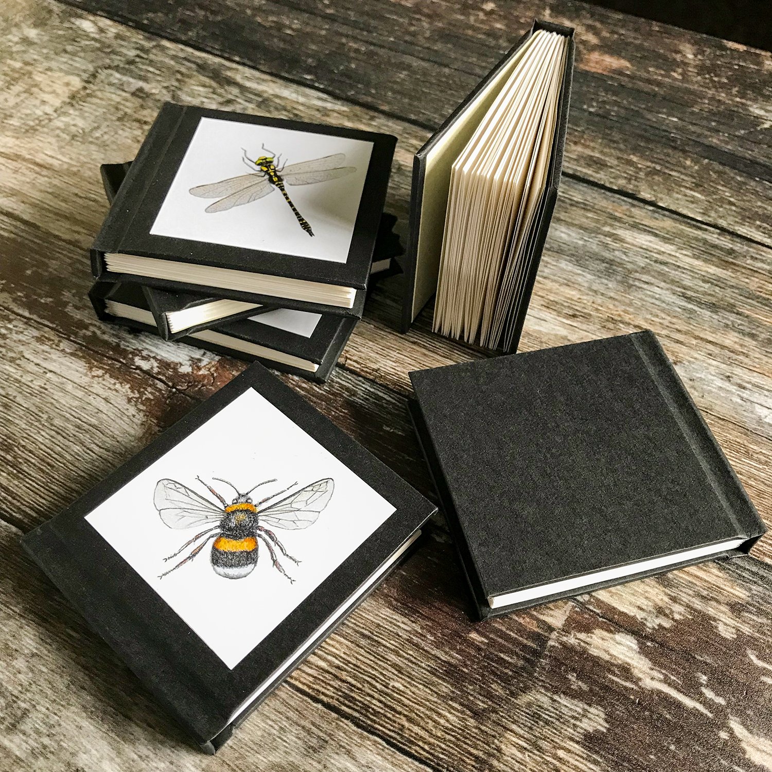 Mini-Journals_Set_Open_Back.jpg