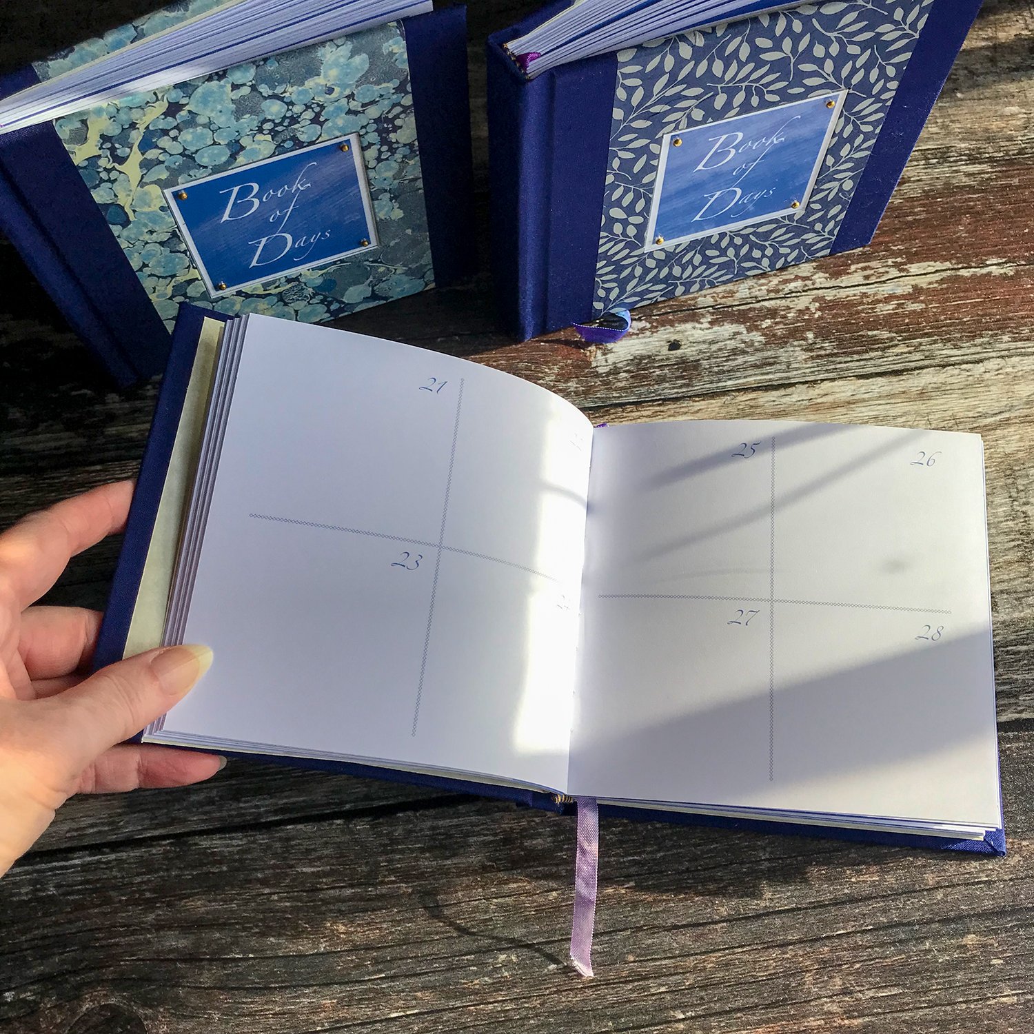 Book_of_Days_Double_spread_pages.jpg