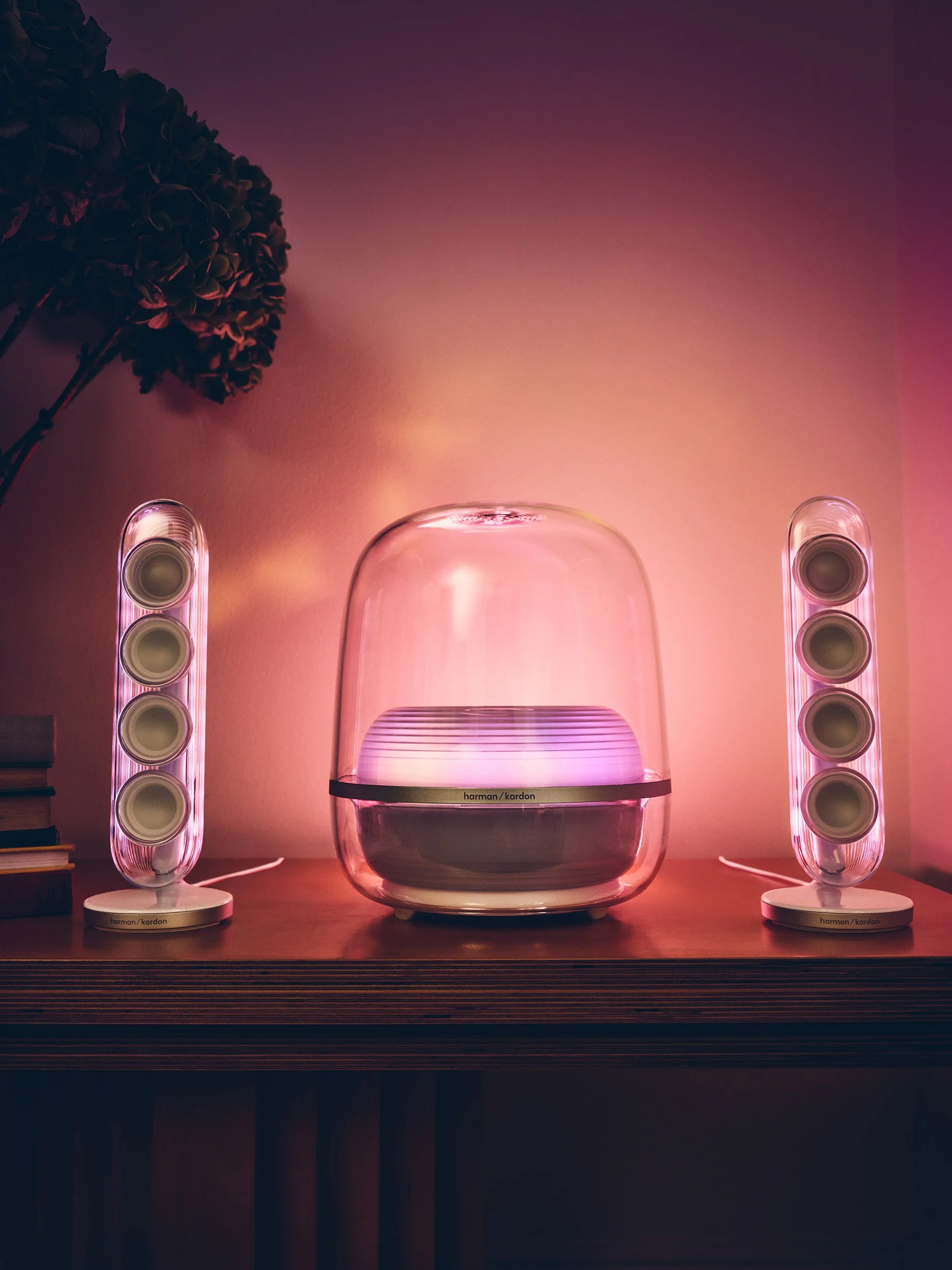 HarmanKardon-Living Room-450.jpg