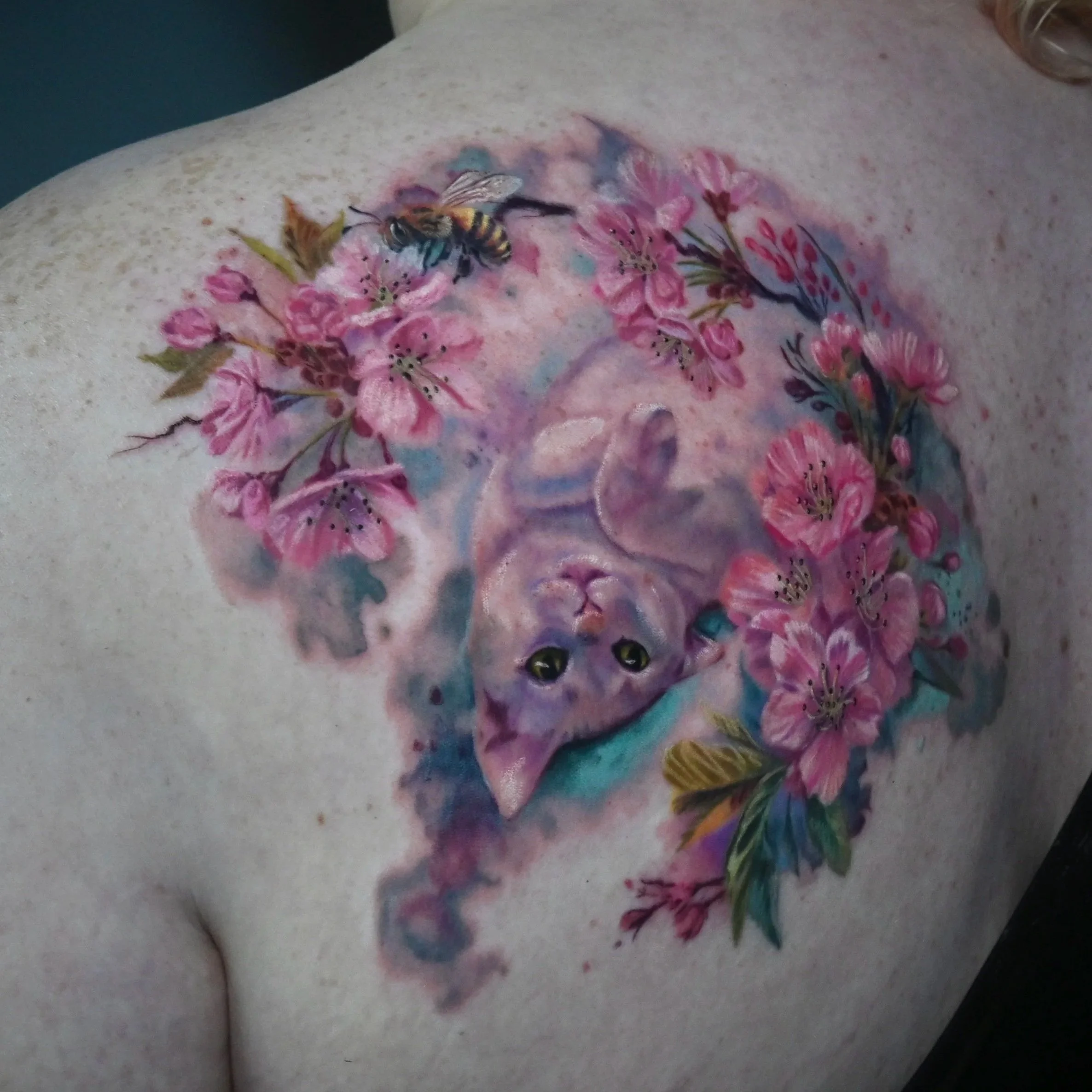 Colorful watercolor tattoo of a kitten surrounded by pink flowers, a bee, and leaves on a person's back