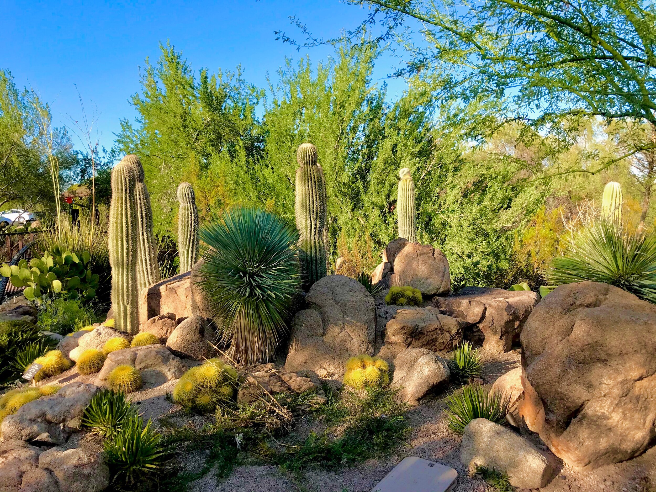 Ultimate Guide to an Unforgettable Girls’ Weekend in Scottsdale ...