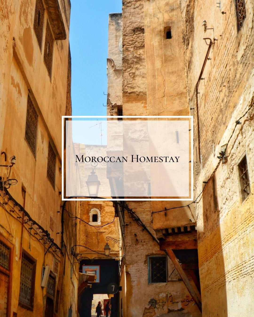 A homestay gives you a glimpse into real Moroccan life, allowing you to experience life as the locals do. The best way to experience culture is by spending time in a local home. Time around the table is a natural gateway to friendship, understanding,