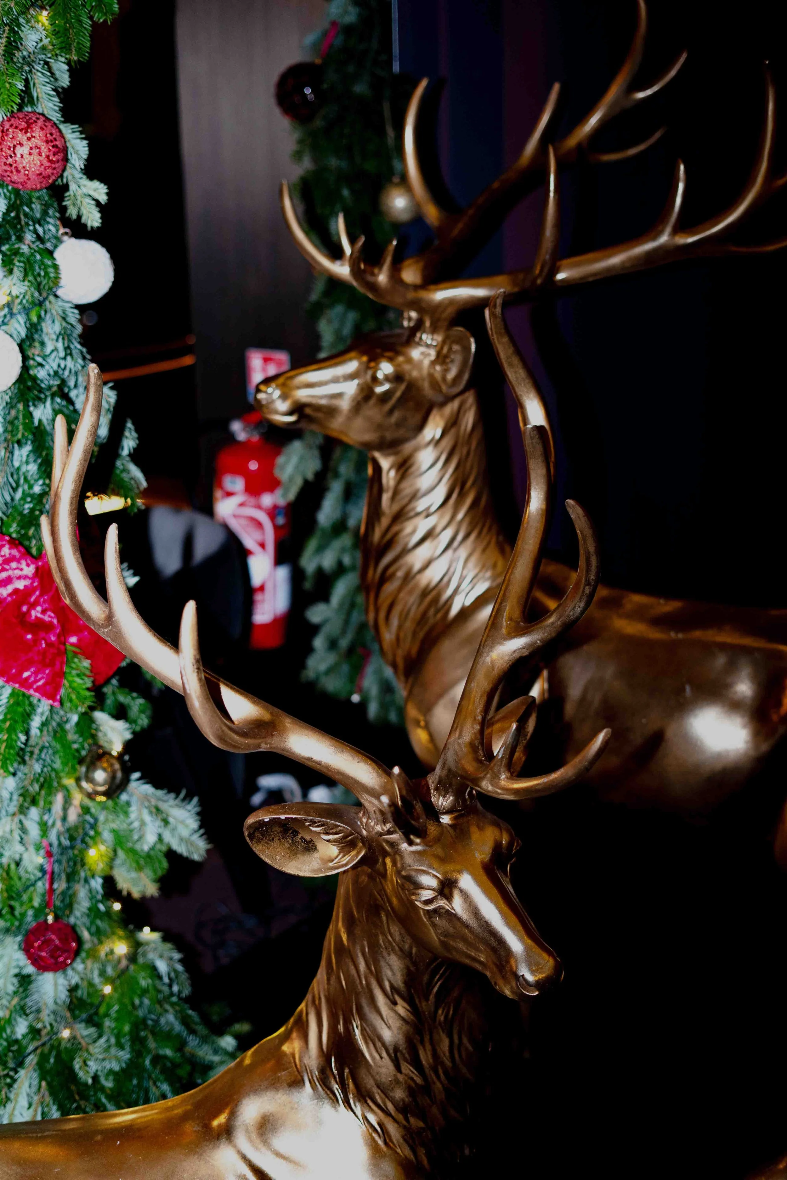 twiga maman va danser -studio paul et virginie-11.jpg