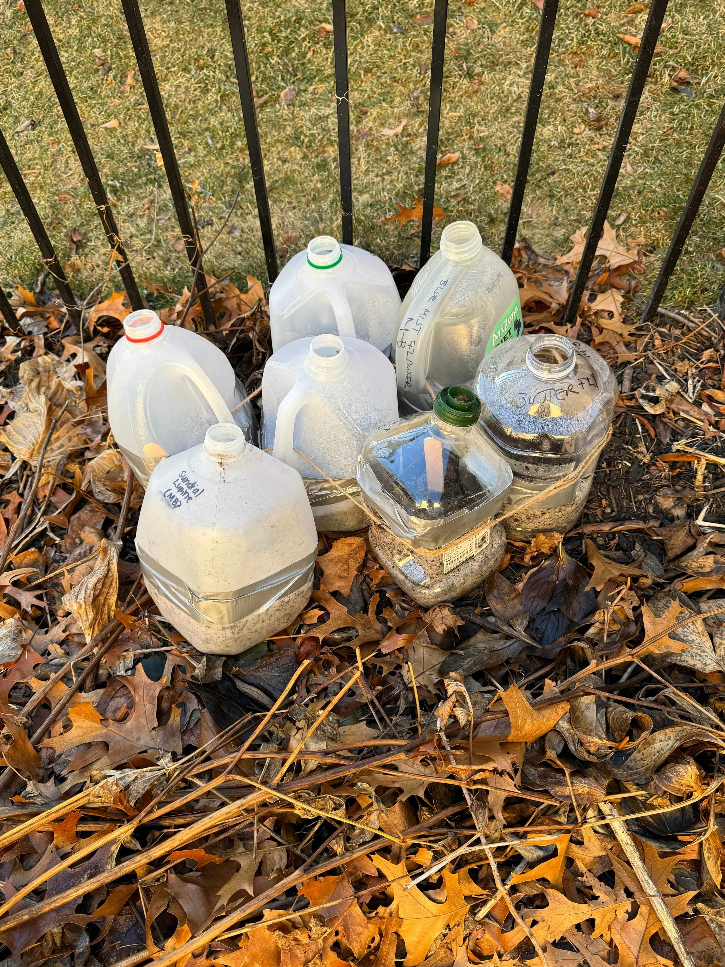 Planting Native Seeds at Emilie's 20260112_0110 copy (1).jpg