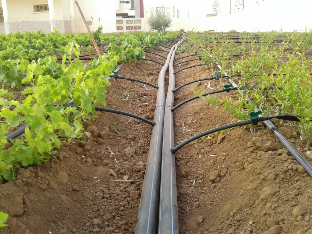 Irrigation Systems 101 