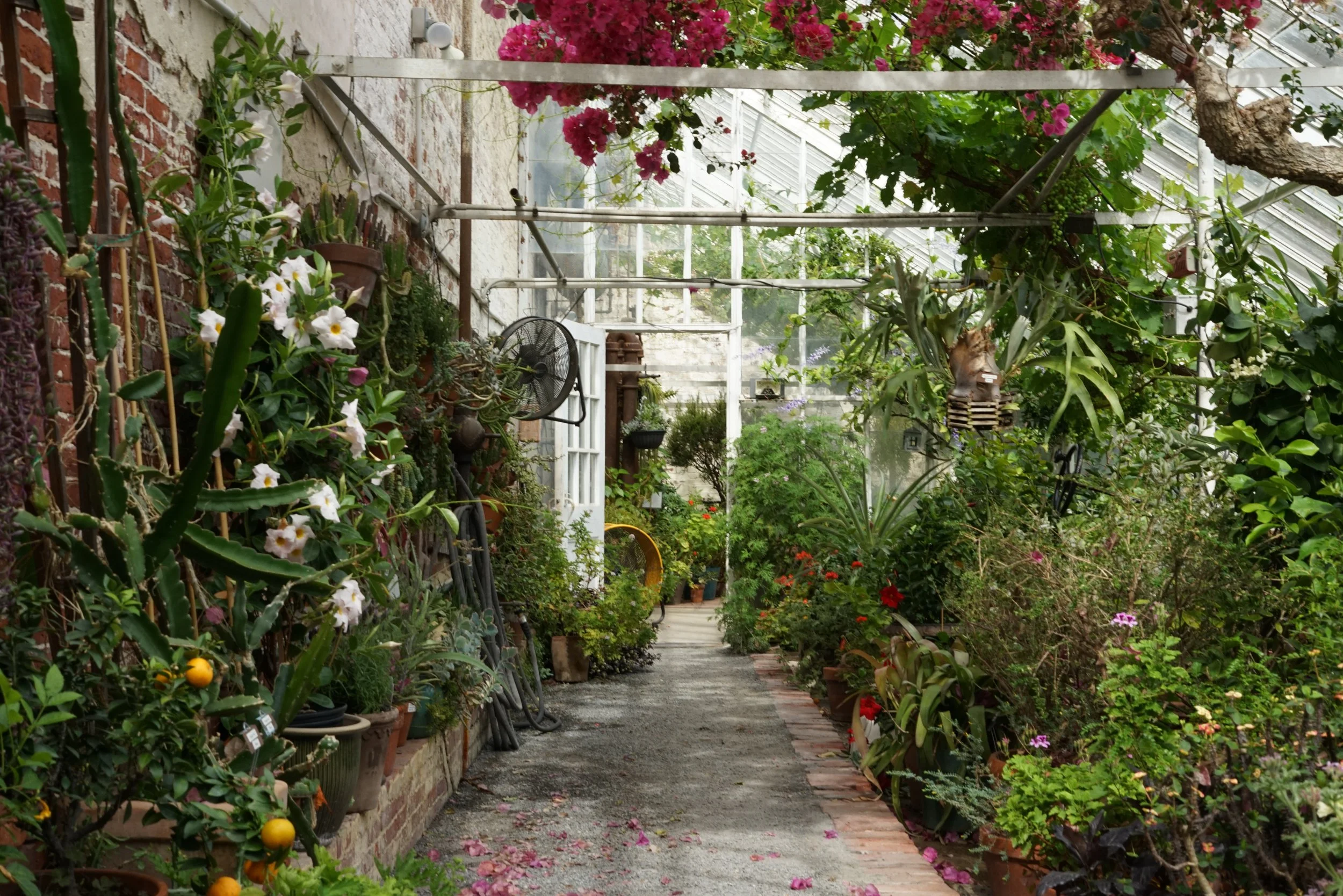 Winter Green Spaces in the Greater Boston Area