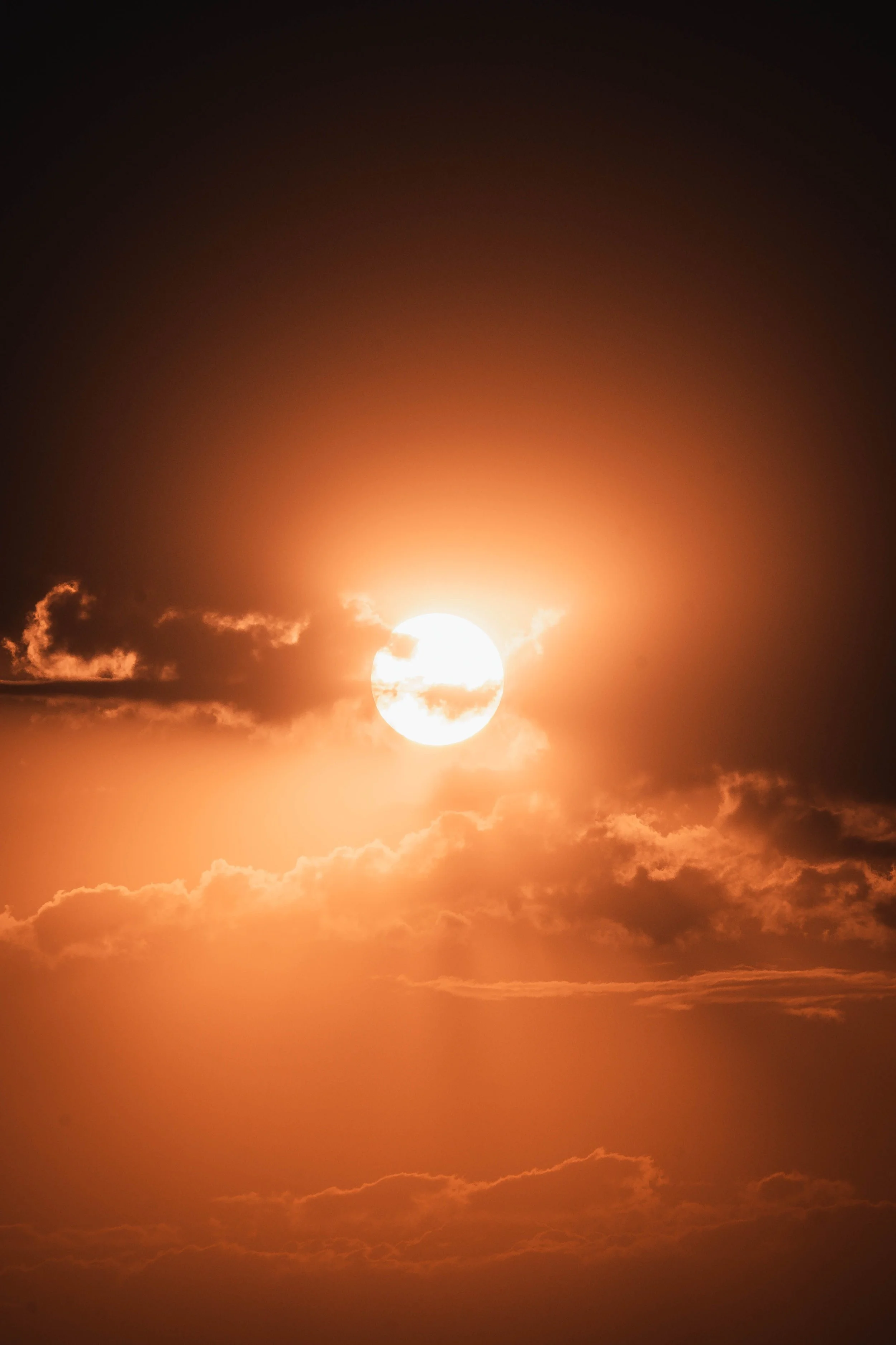 Prepping Your Garden For a Heat Wave