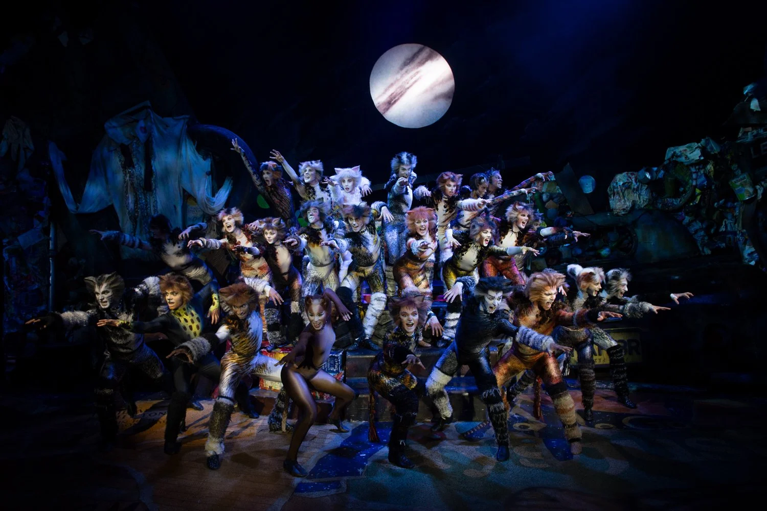 Cats Crossroads Live cats-crossroads-live
