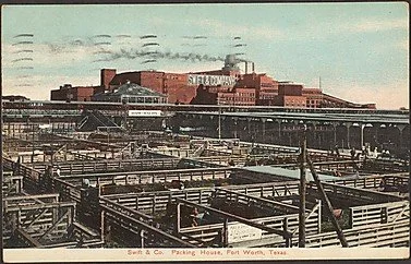Page 238 -- The Swift & Co. plant in Fort Worth, TX. A postcard from the first few decades of the 20th century showing the plant where Skidmore and his colleagues were engaged to wait (or were waiting to be engaged).